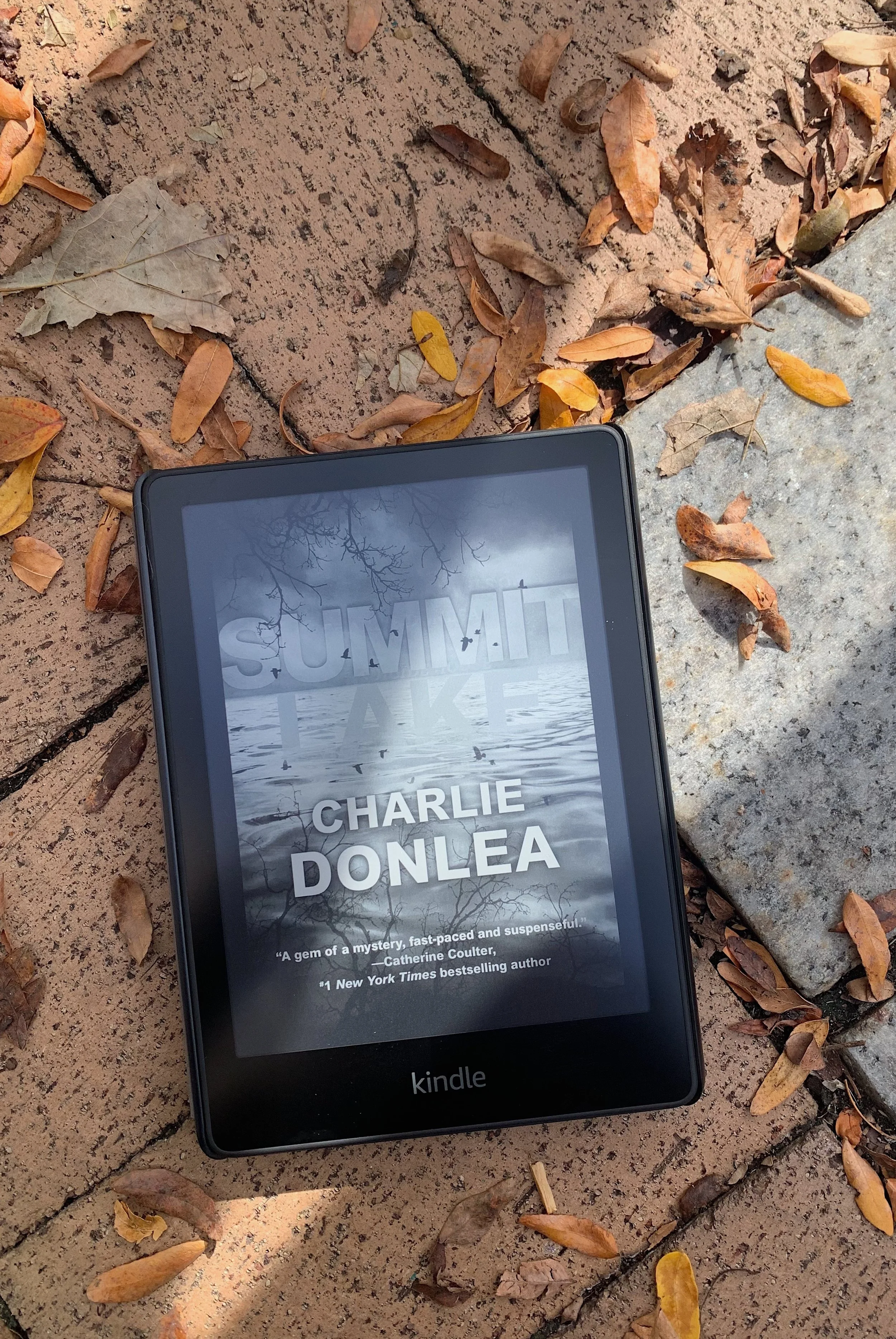 The Best Thrillers on Kindle Unlimited