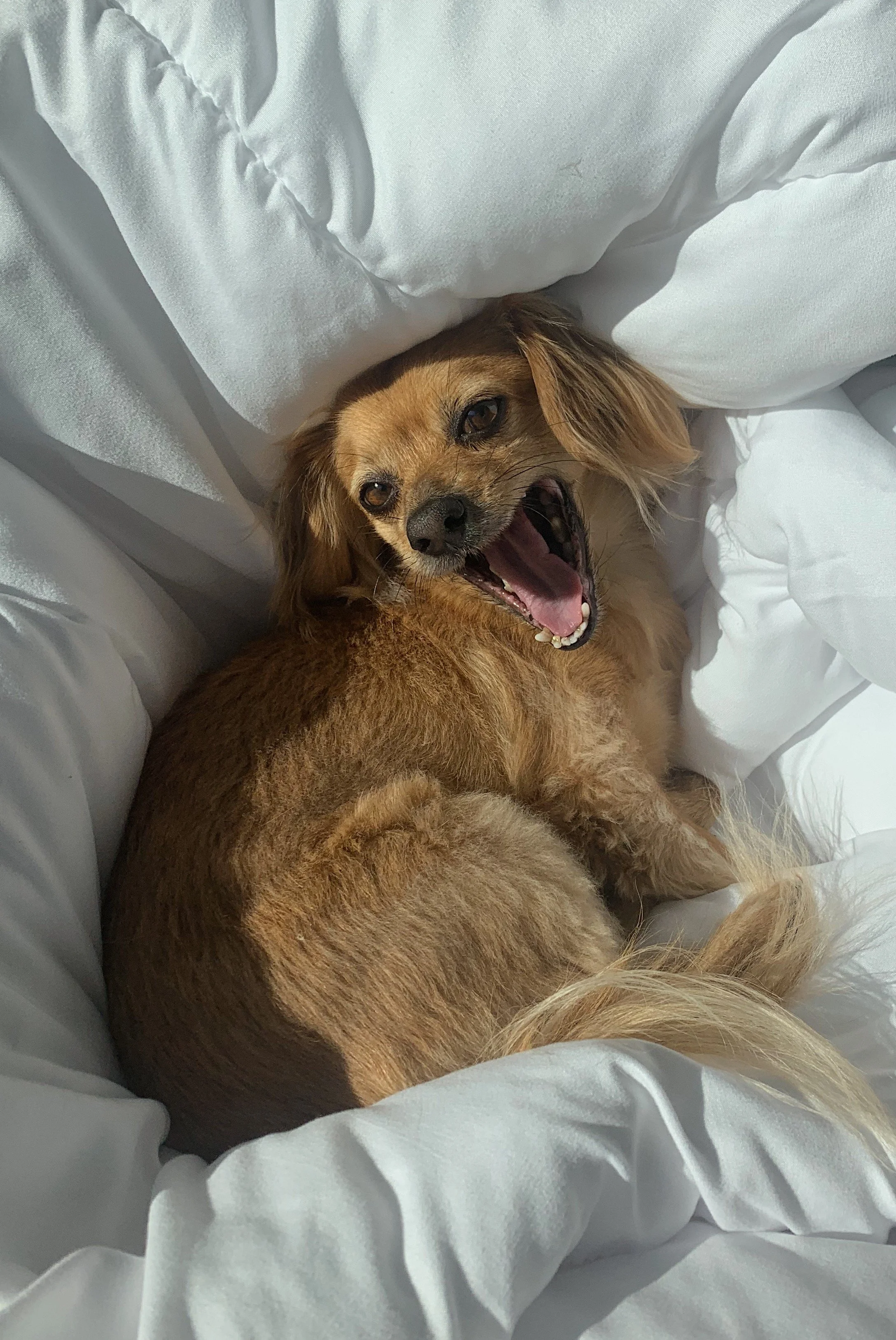 My Simple, Productive Morning Routine