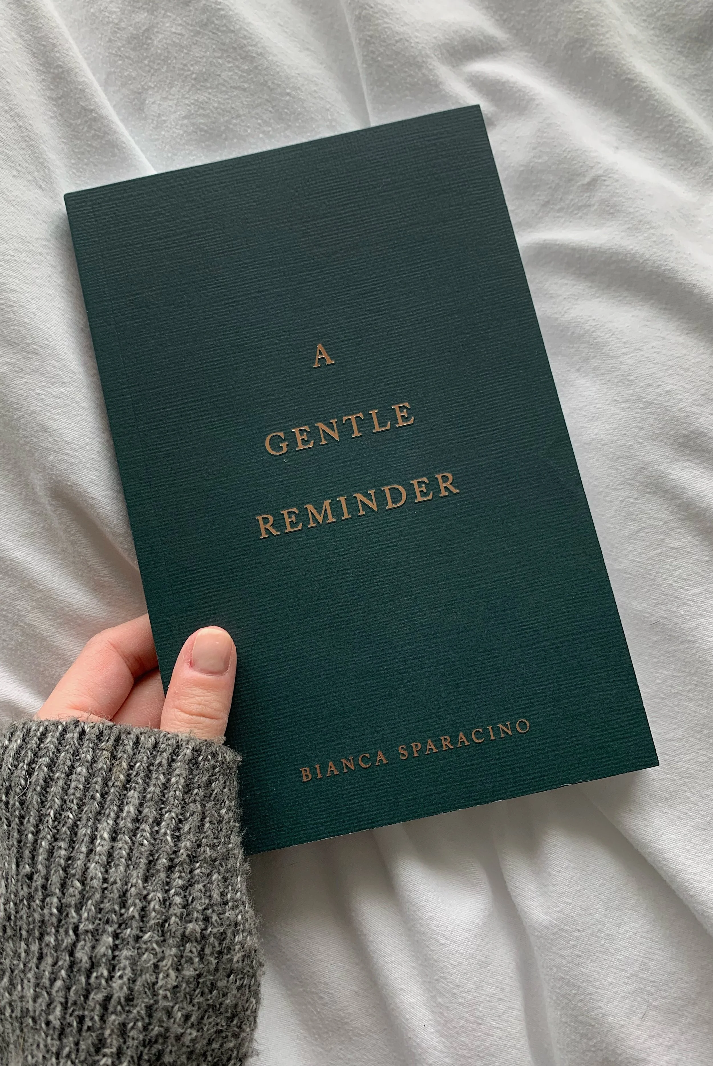 a-gentle-reminder-bianca-sparacino-review.JPG