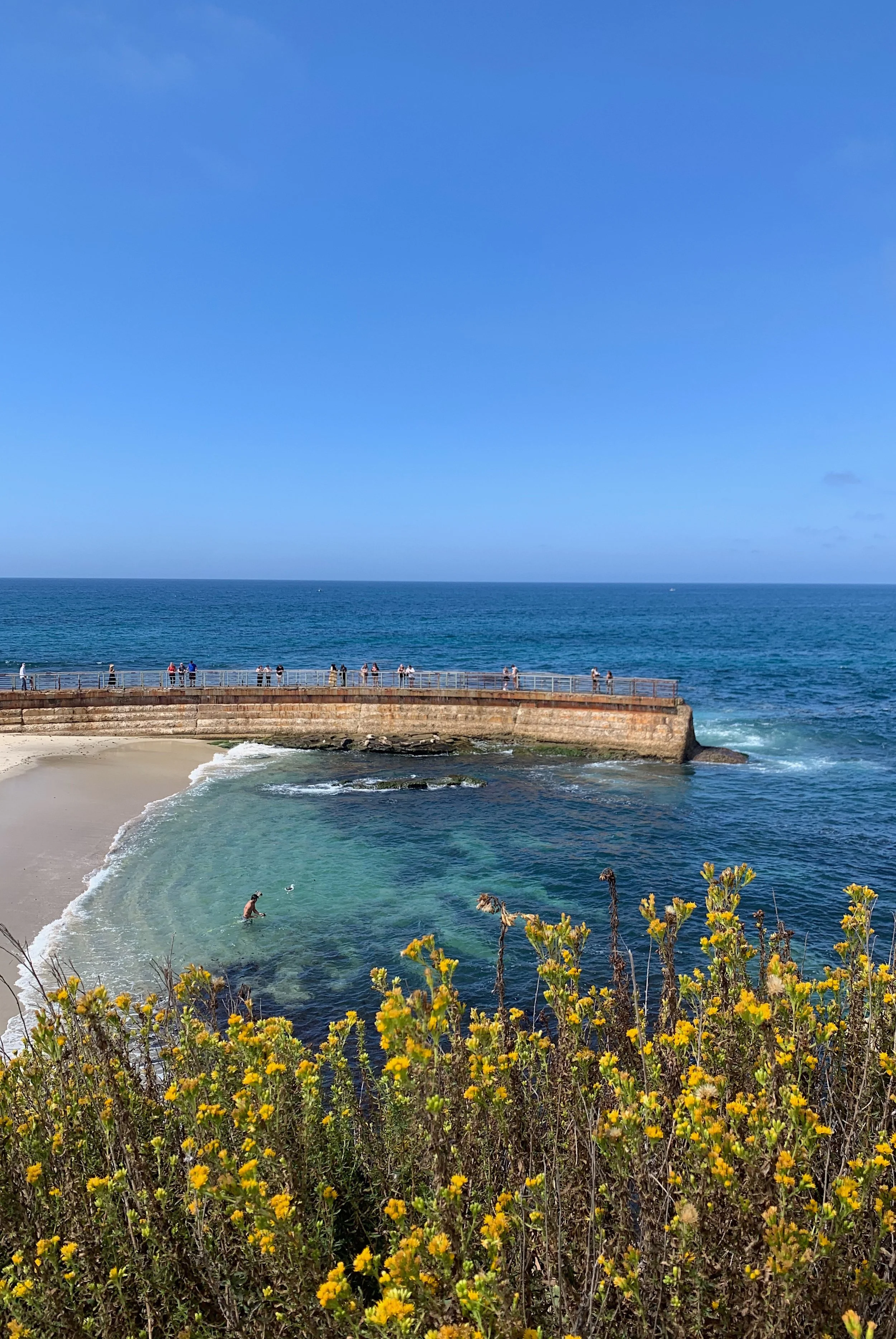 la-jolla-travel-guide.jpg