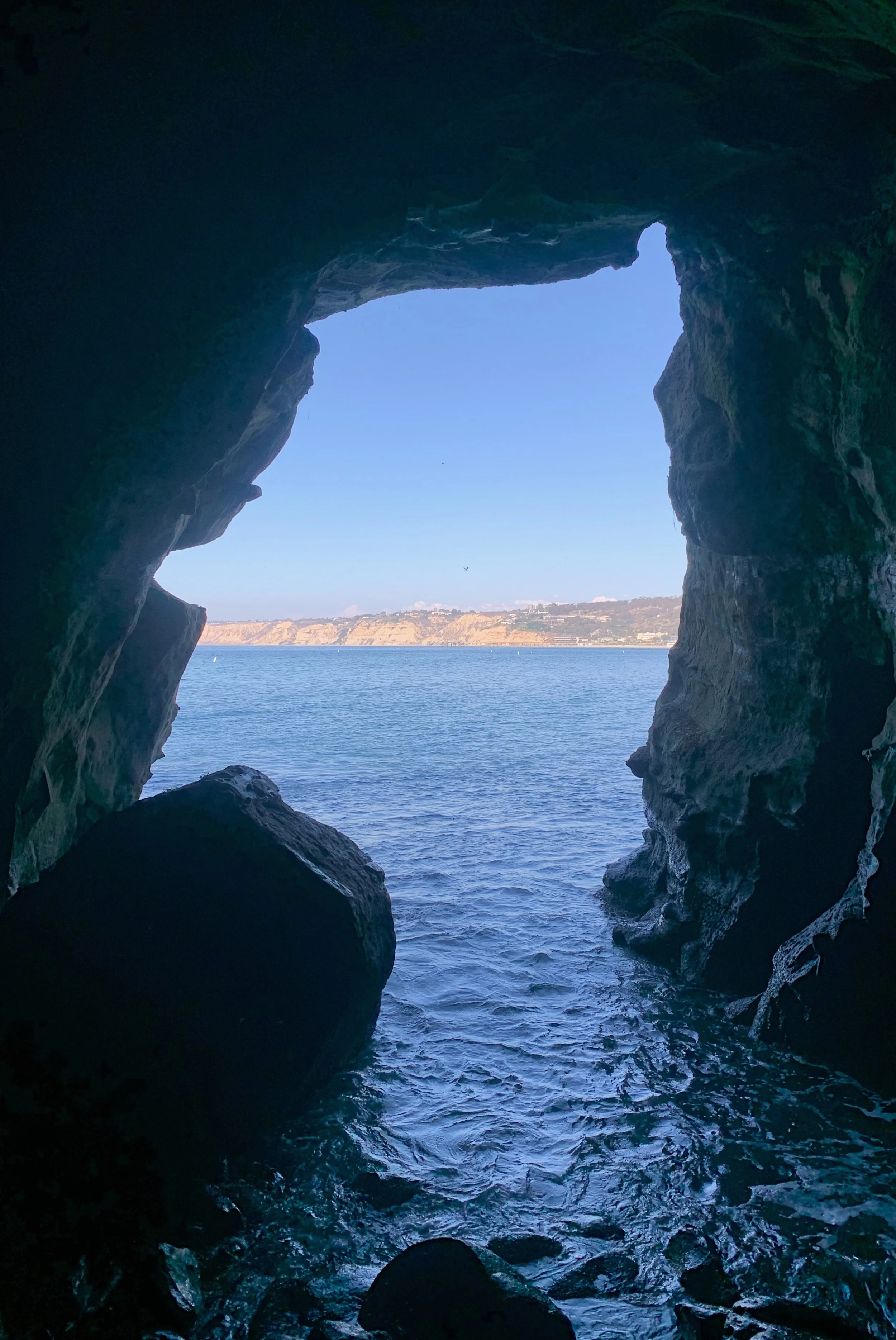 sunny-jims-cave-review.jpg