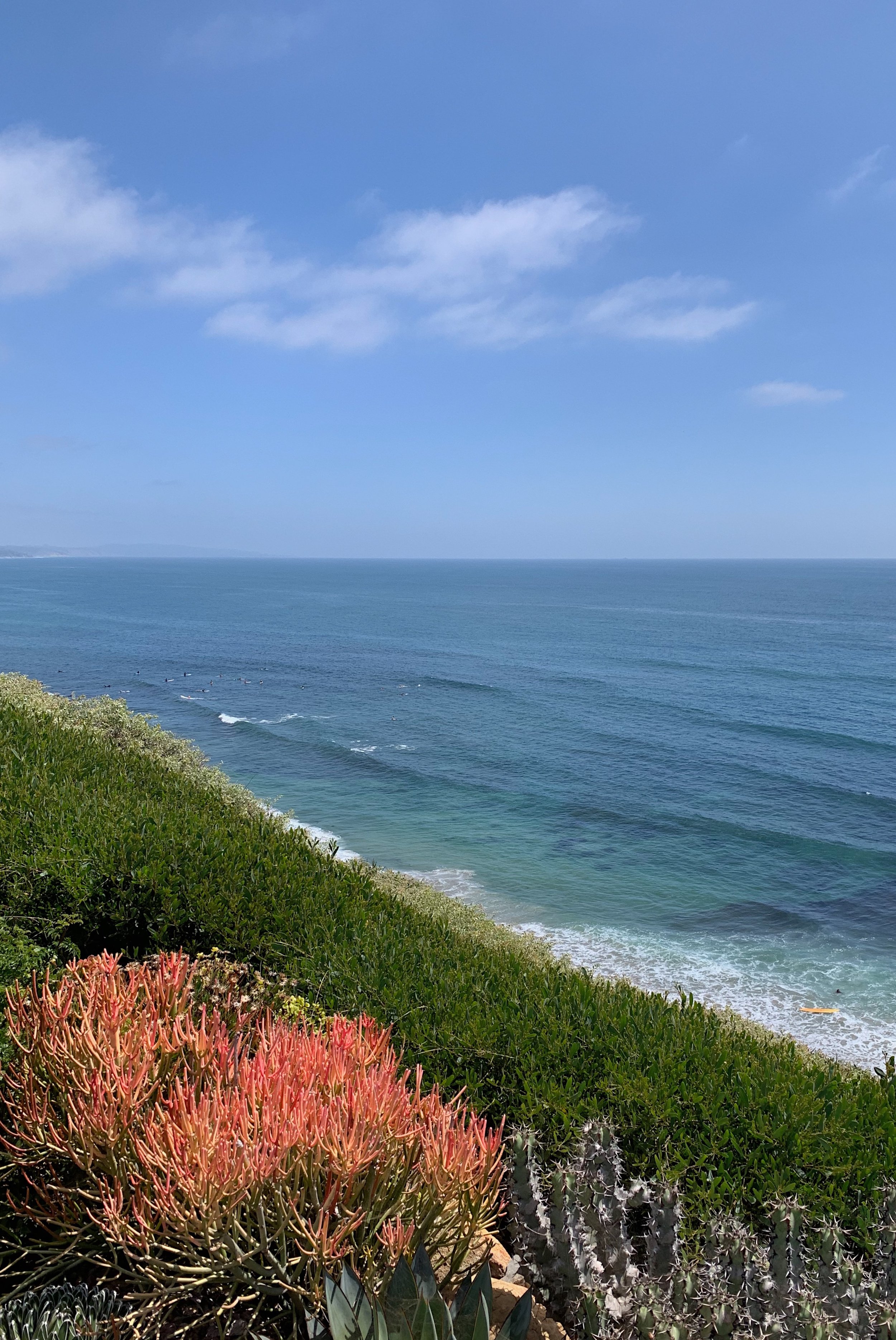 The Best Time to Visit San Diego