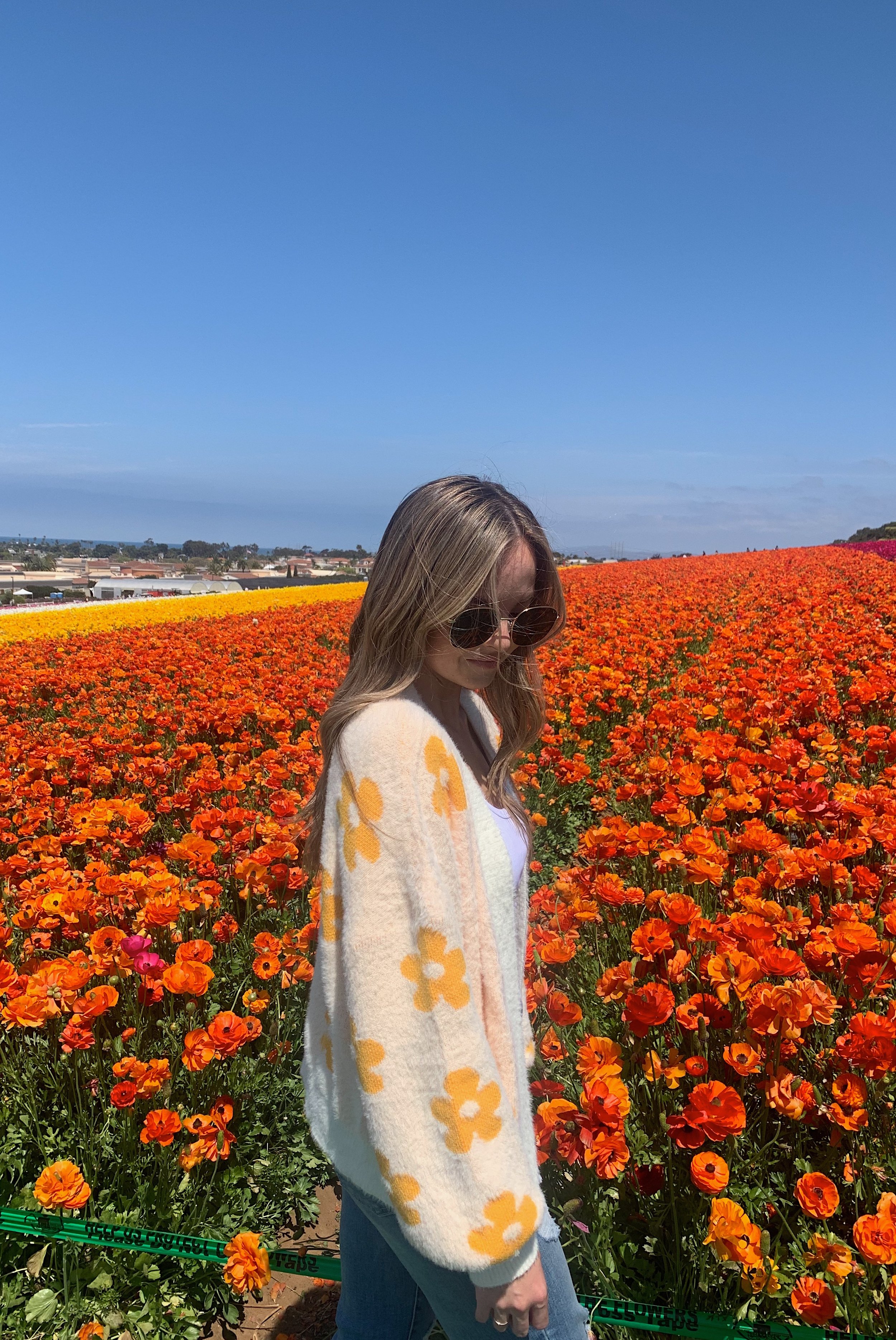 carlsbad-flower-fields-worth-it.jpg