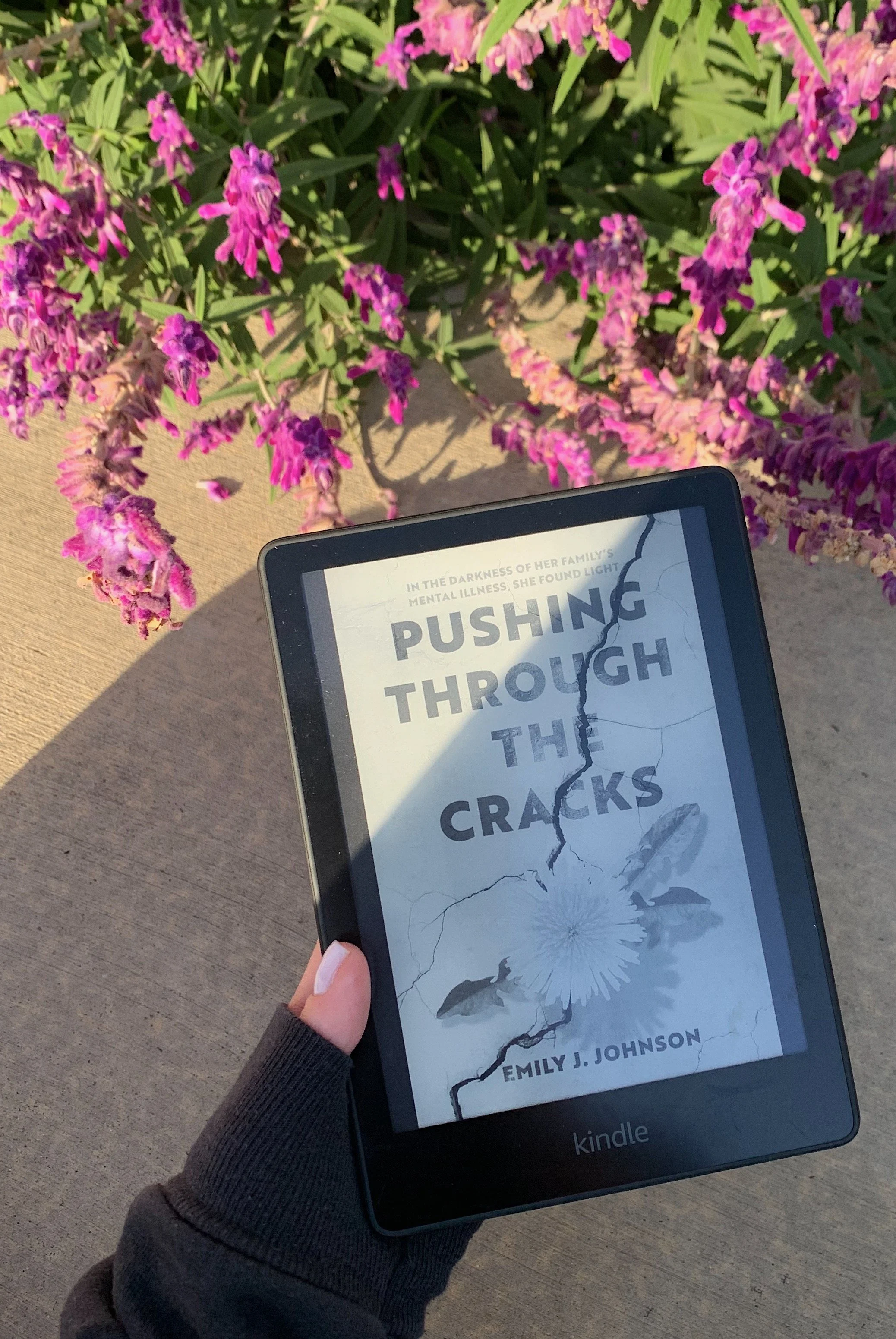 pushing-through-cracks-kindle-unlimited.jpg
