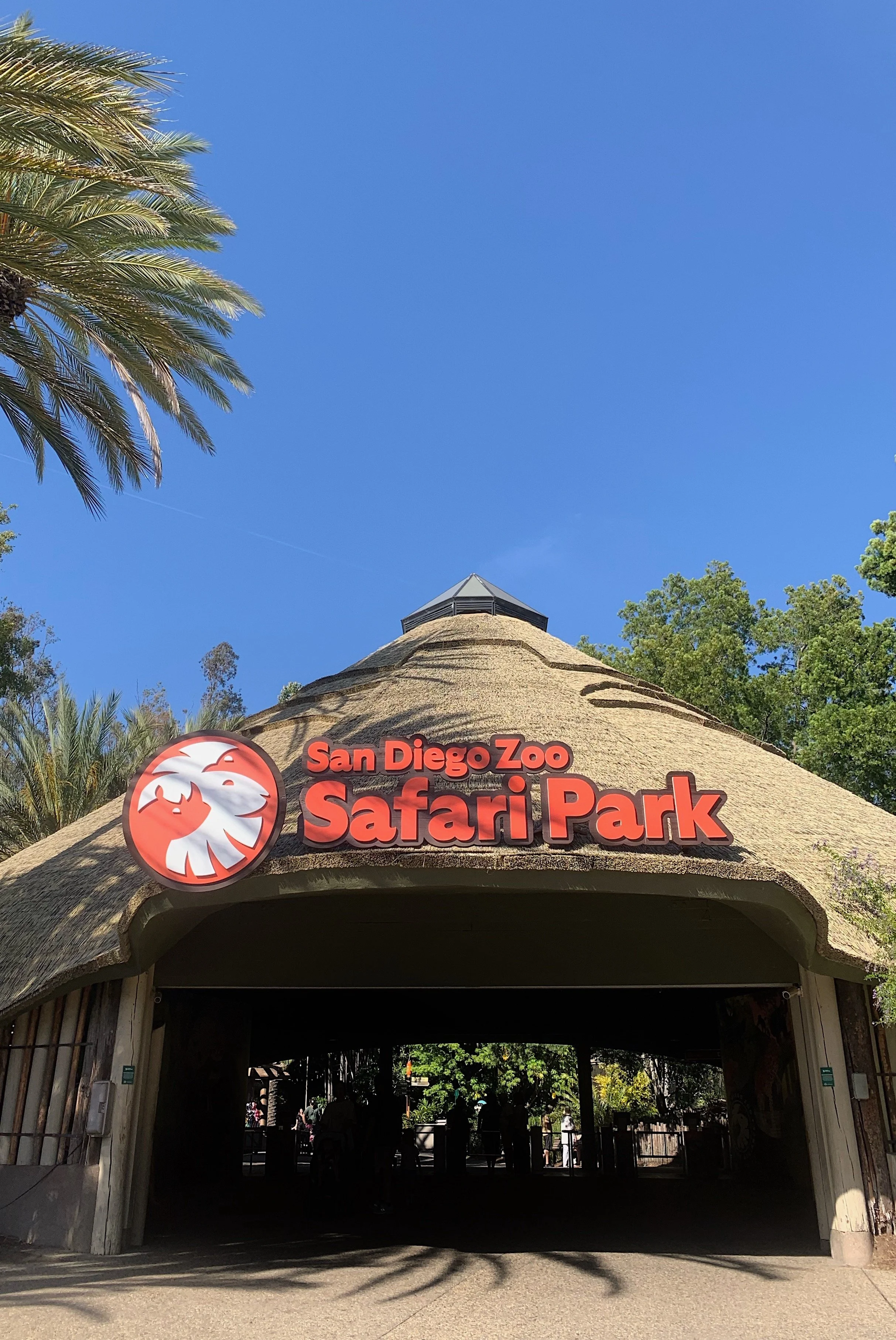 san-diego-safari-park-vs-zoo.jpg