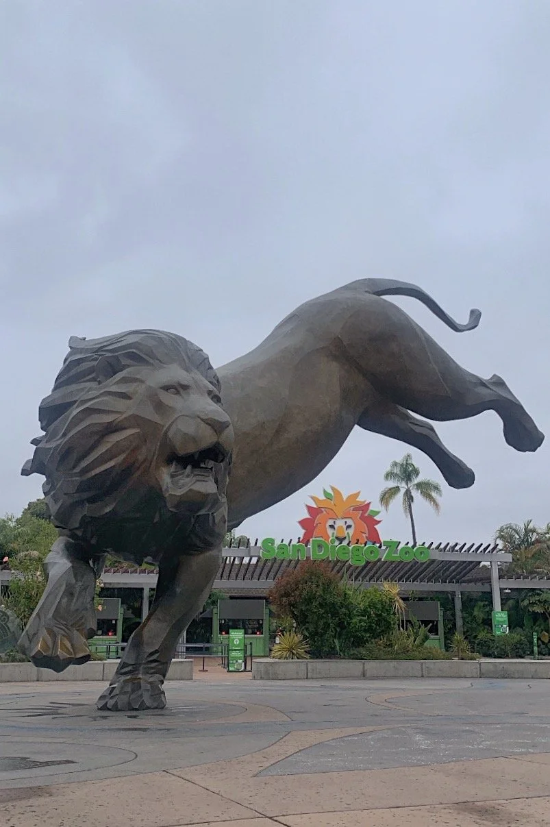 san-diego-zoo-vs-safari-park.jpg