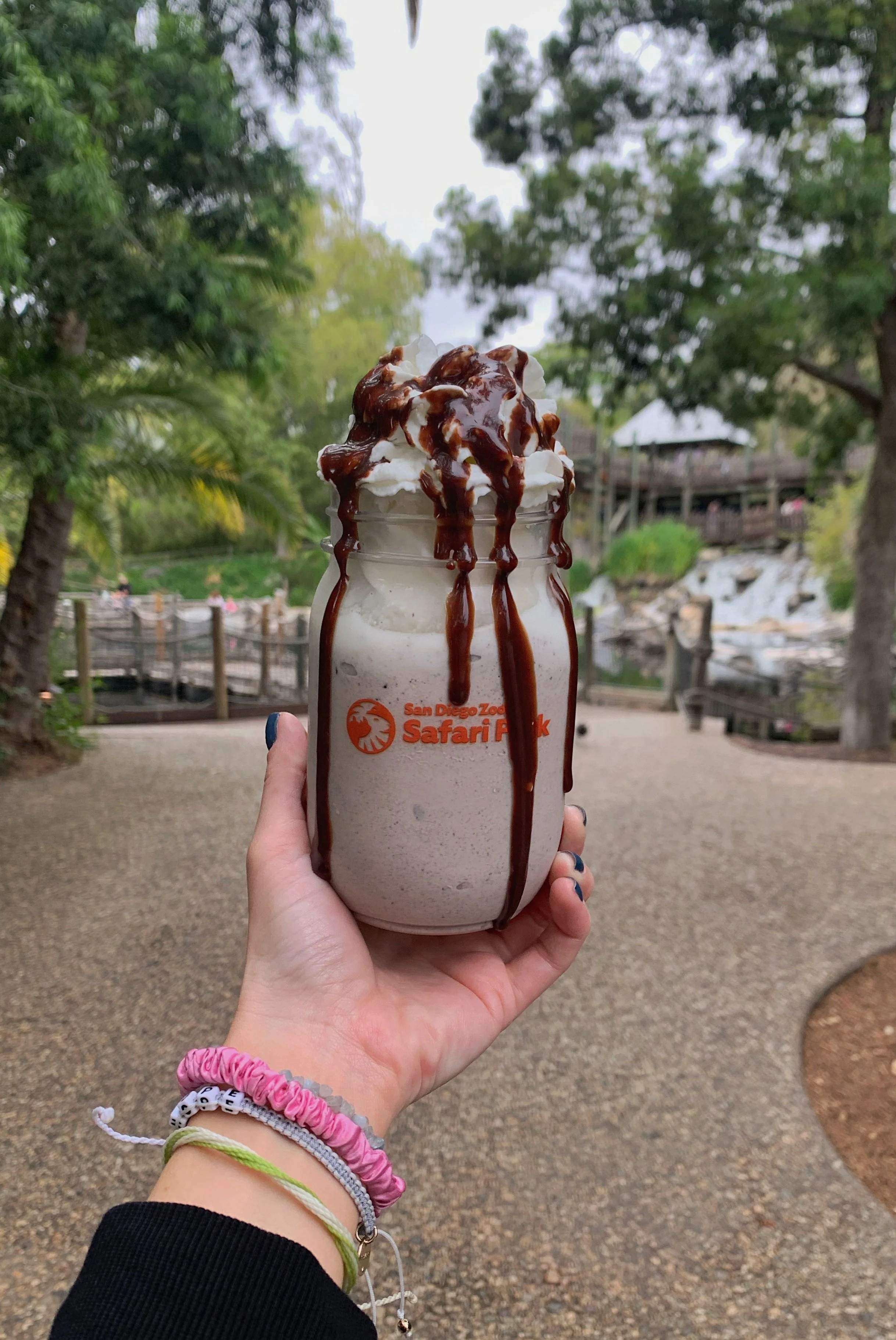 san-diego-zoo-vs-safari-park-families.jpg