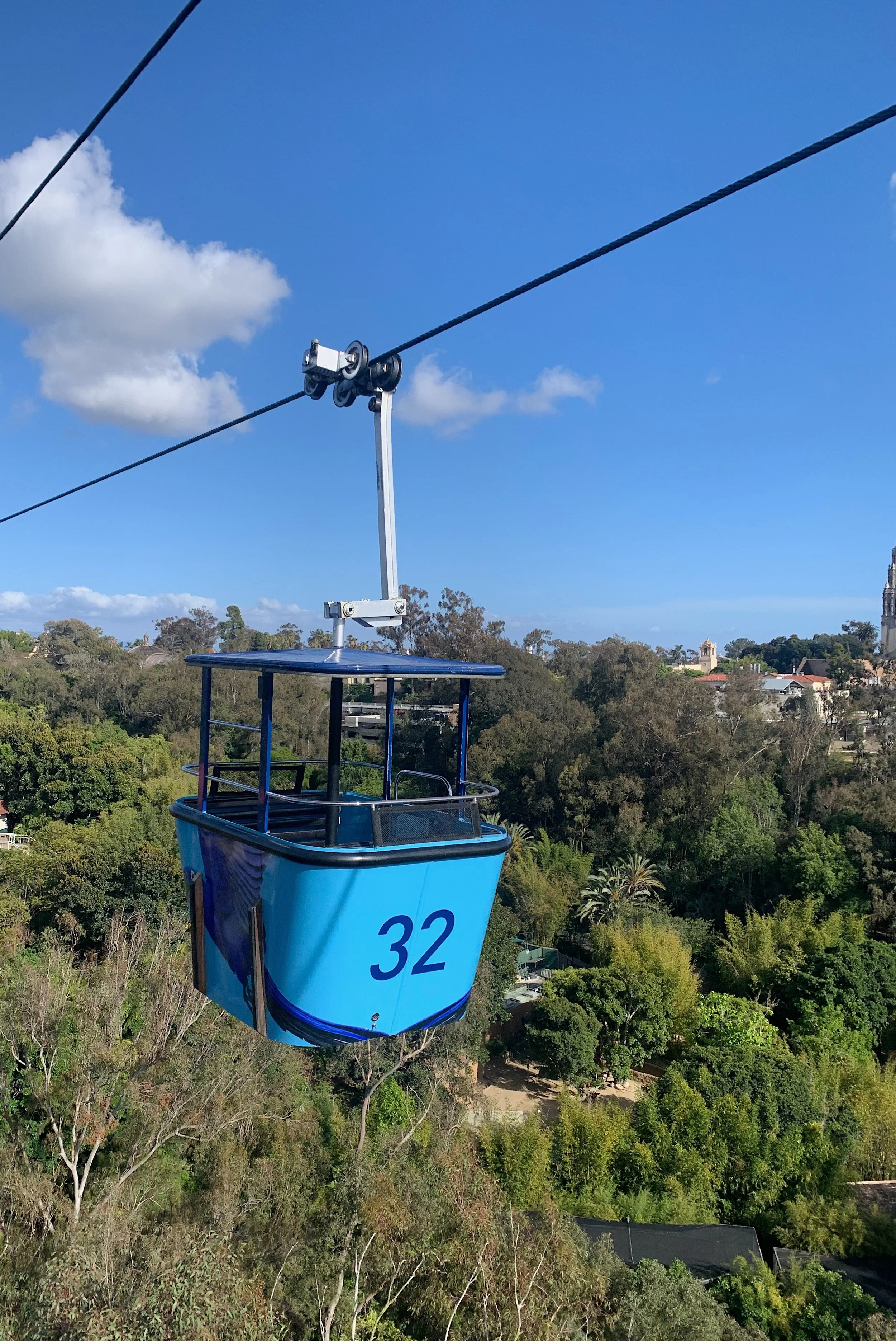 san-diego-zoo-travel-guide.jpg