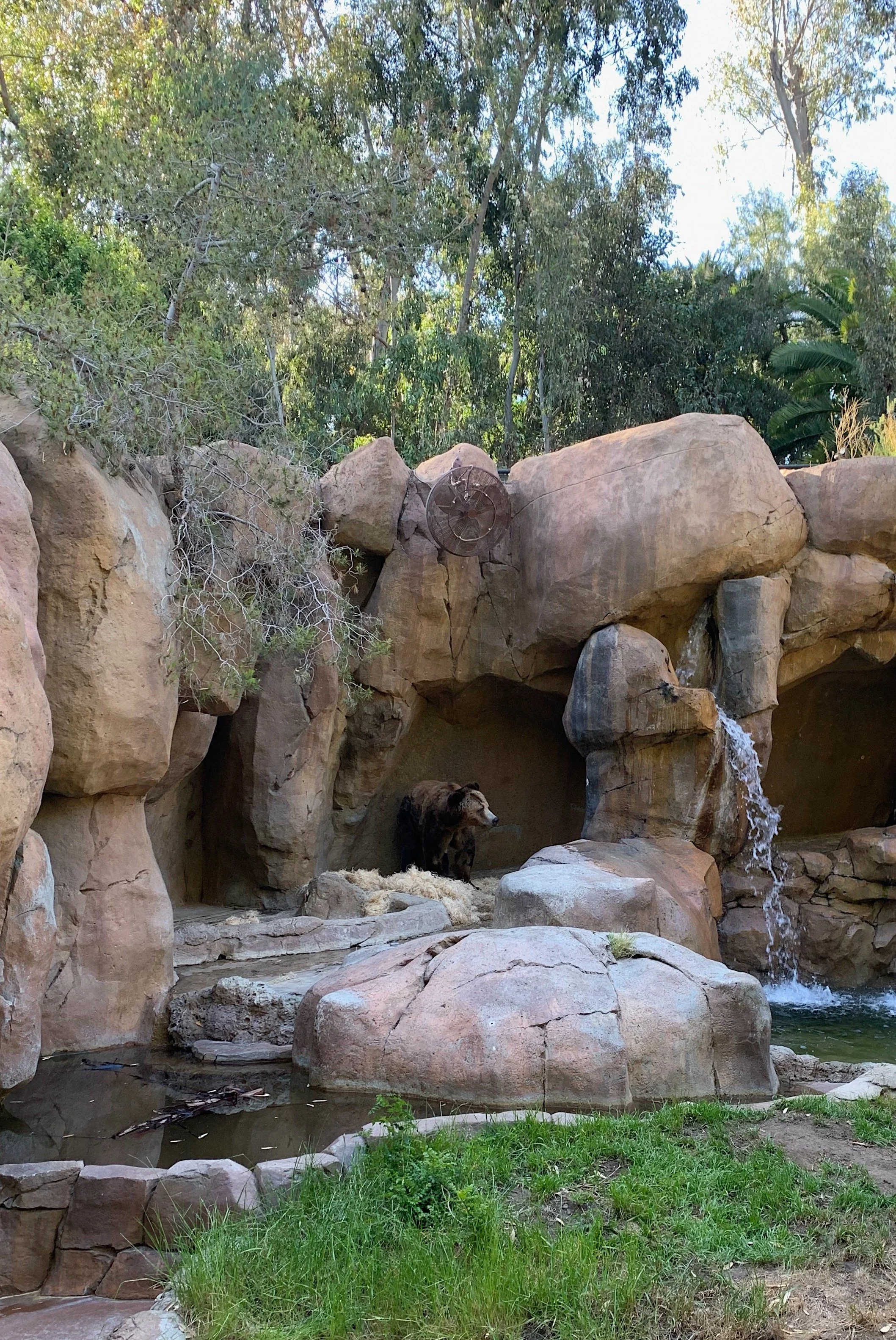 san-diego-zoo-faq.jpg