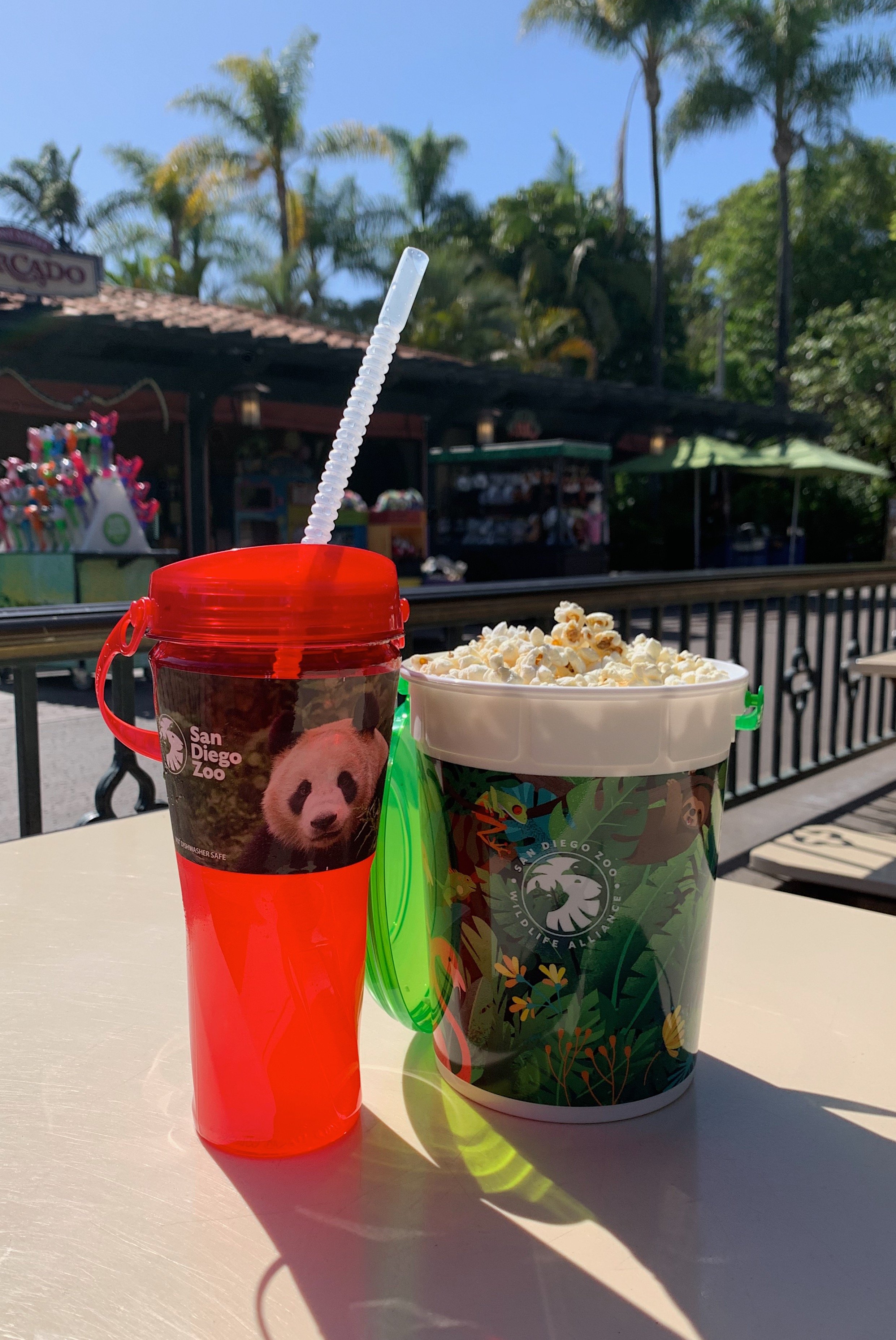 san-diego-zoo-food-tips.jpg