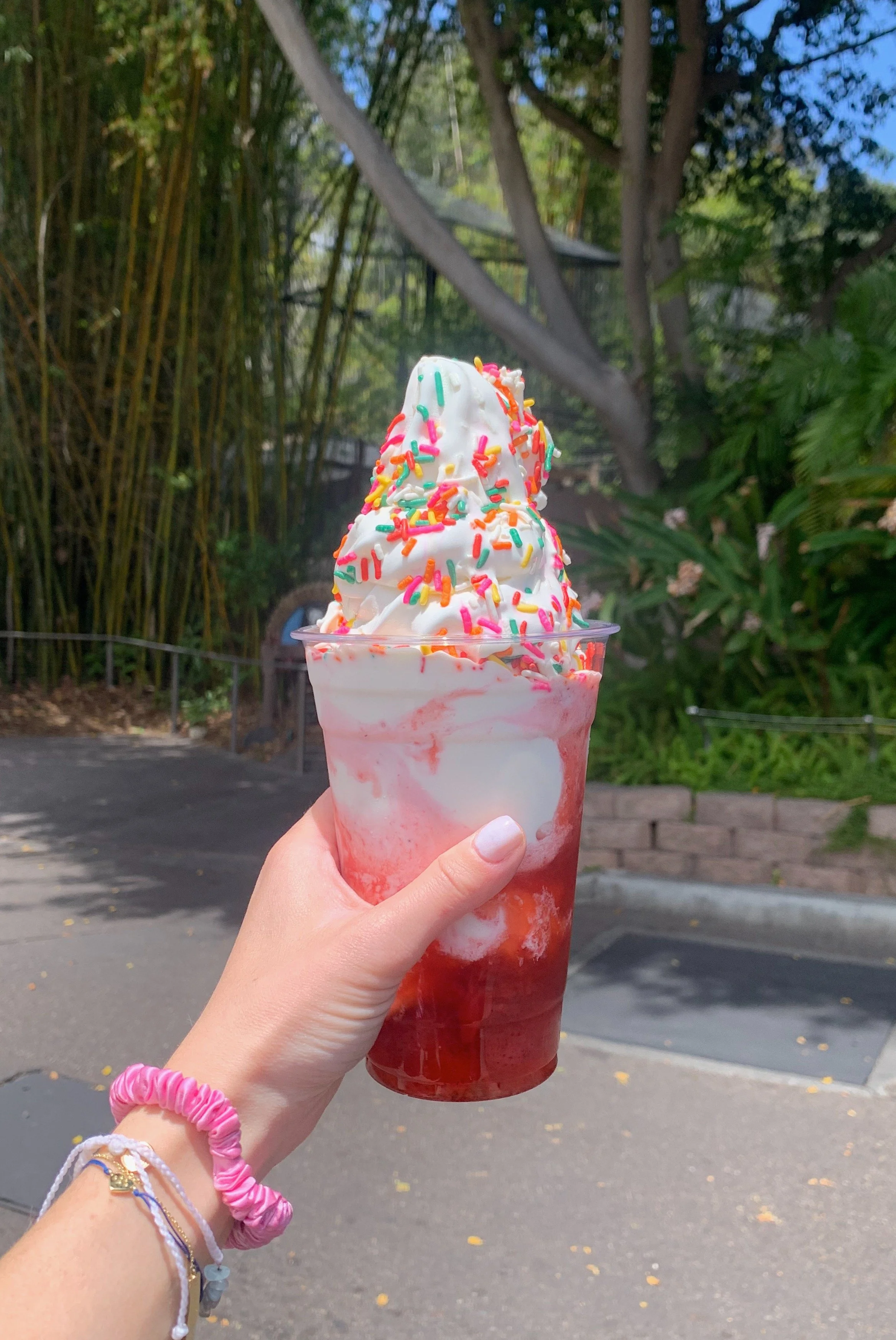 walking-san-diego-zoo-itinerary.jpg