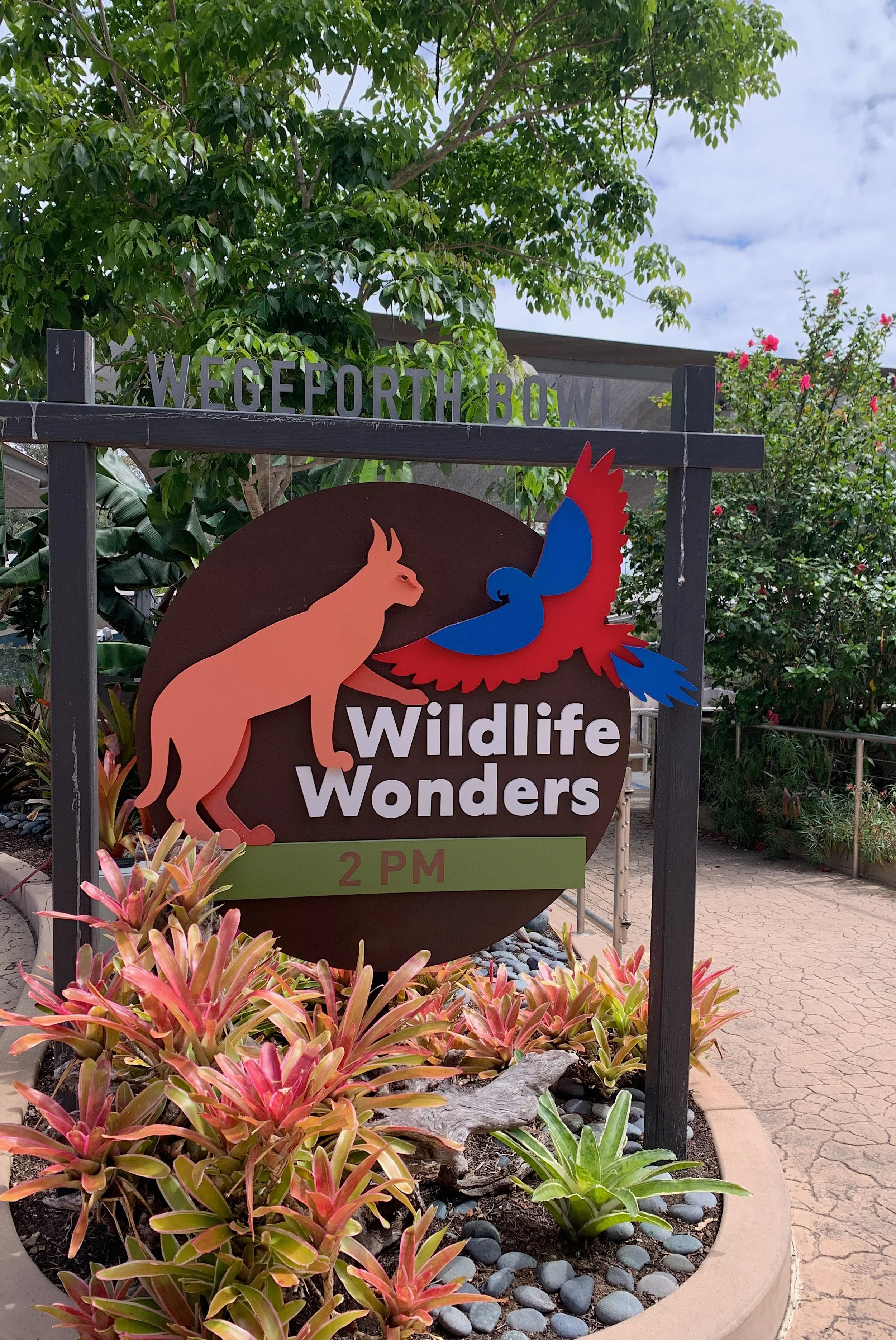 san-diego-zoo-animal-show.jpg