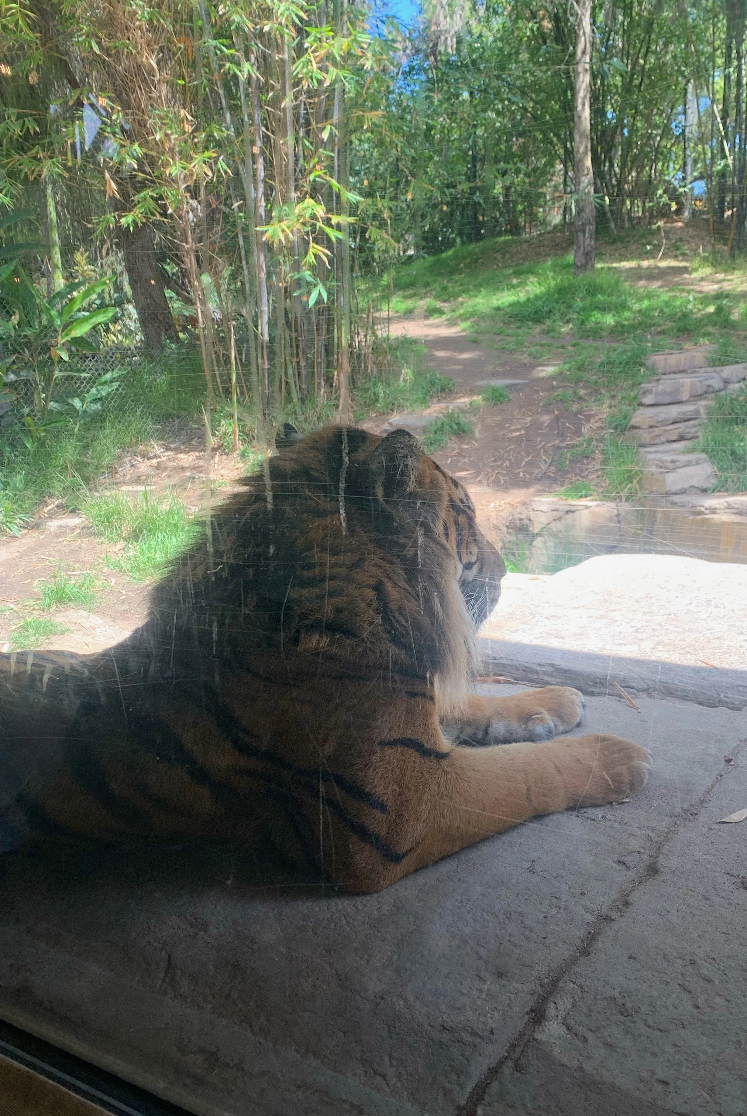 san-diego-zoo-safari-park-itinerary.jpg