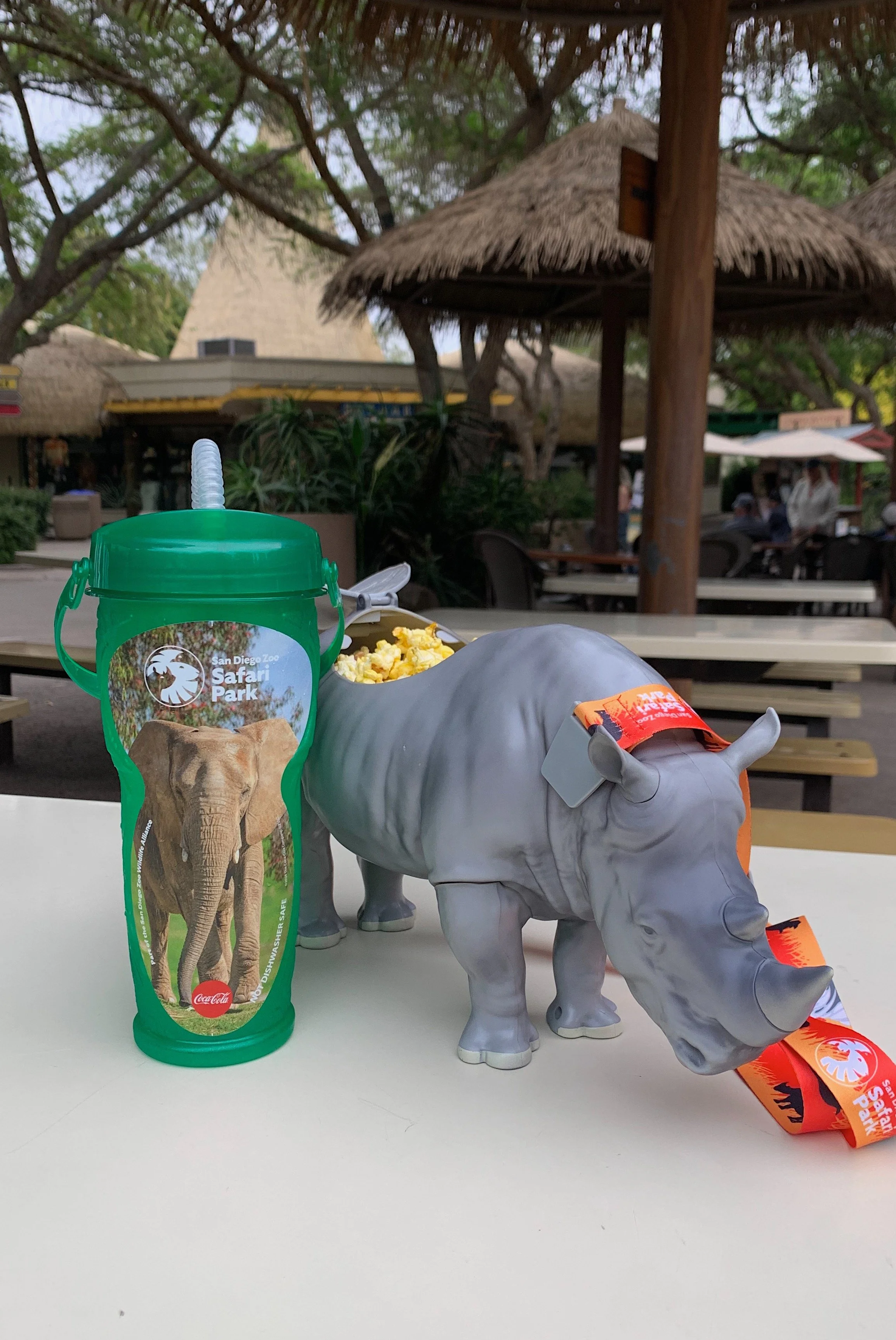 san-diego-safari-park-one-day-itinerary.jpg