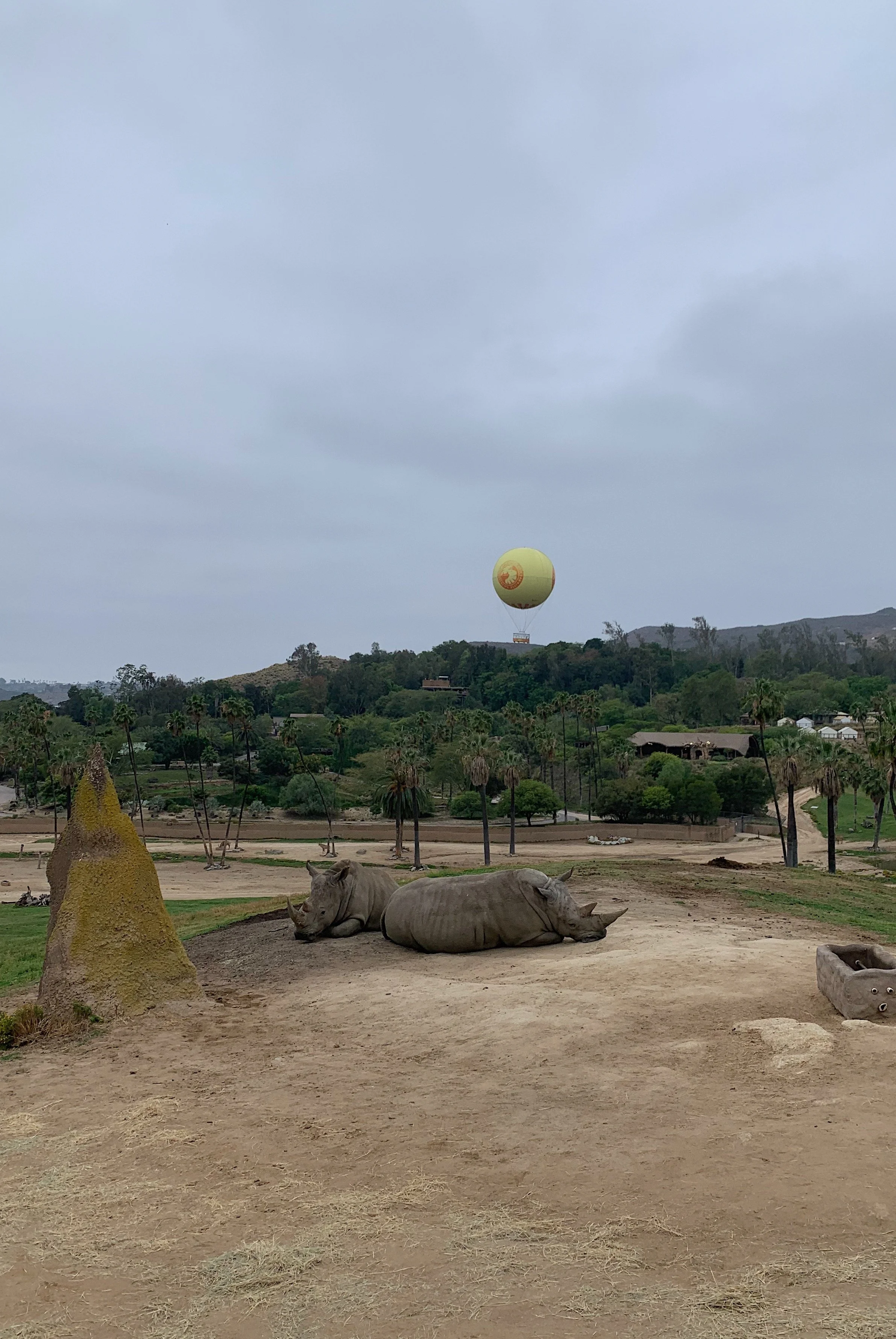 san-diego-safari-park-regular-wildlife-safari-vs-deluxe.jpg