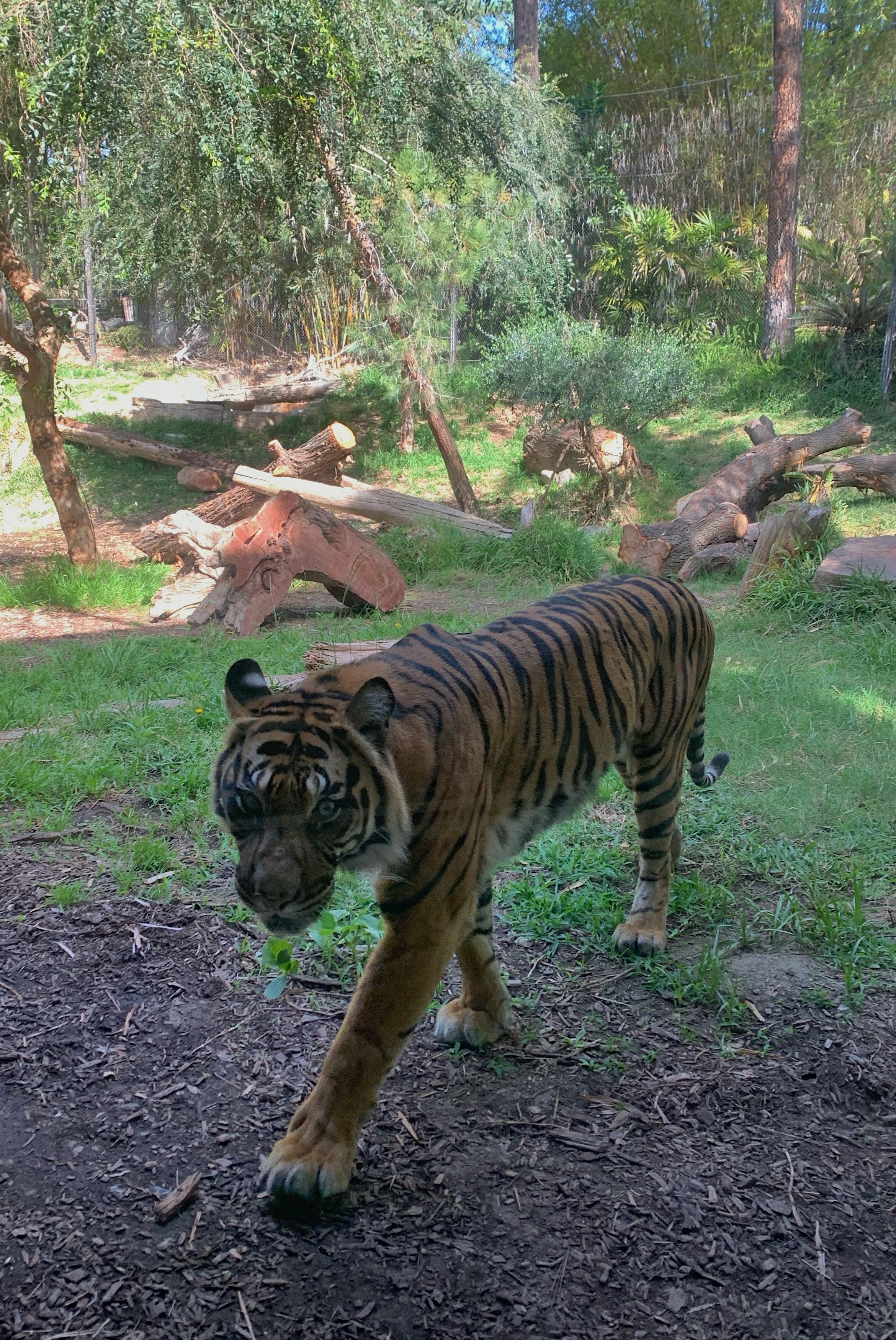 san-diego-safari-park-best-exhibits.jpg