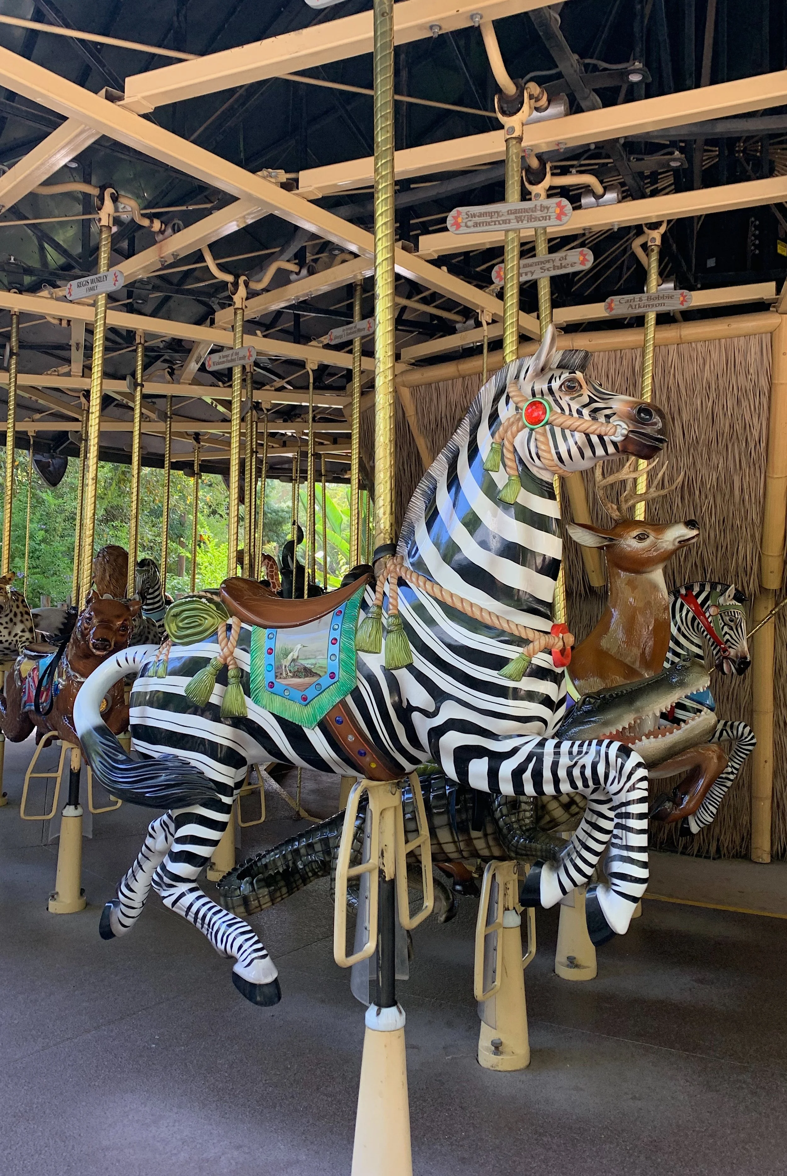 san-diego-zoo-vs-safari-park-kids.jpg