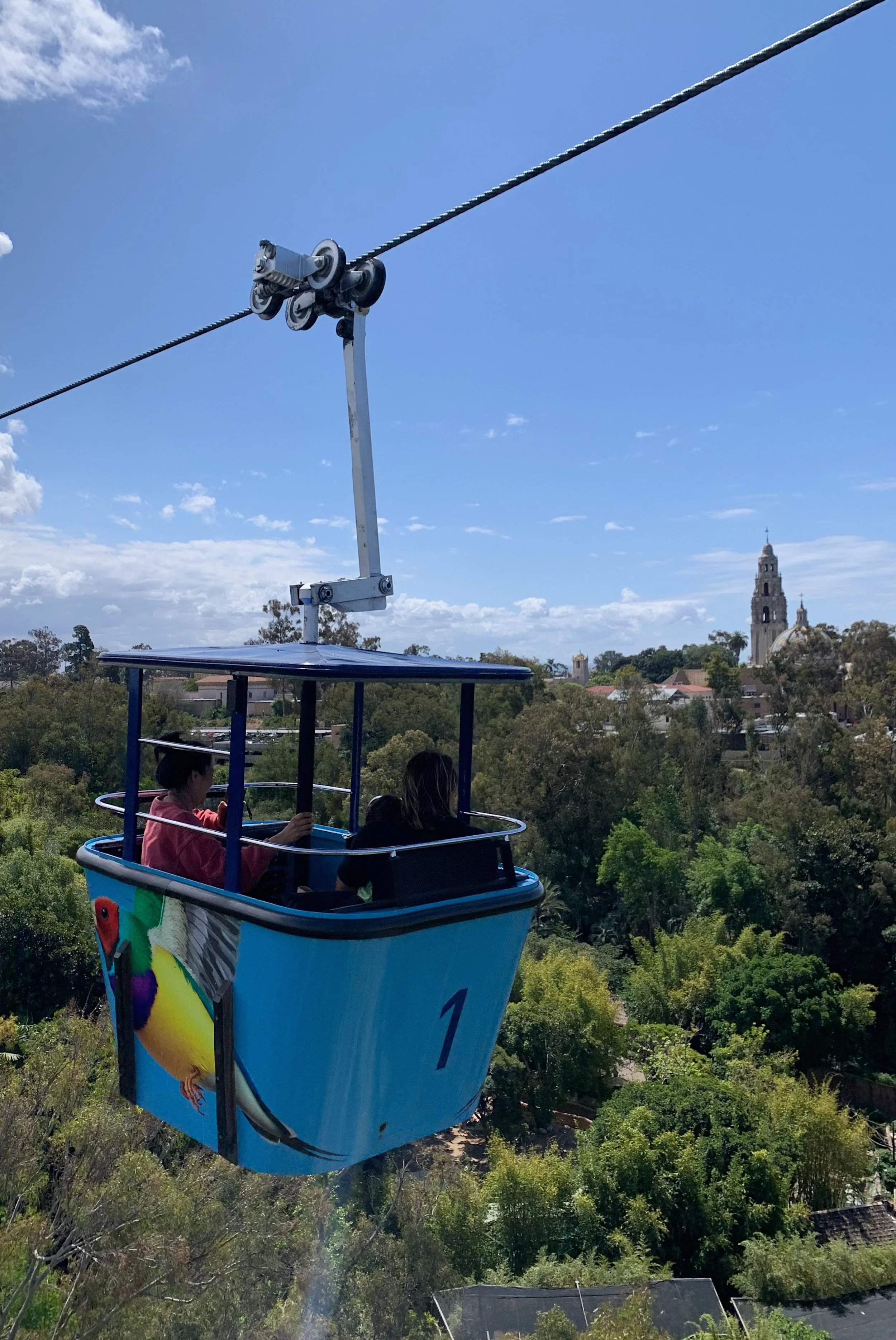 san-diego-zoo-vs-safari-park.jpg