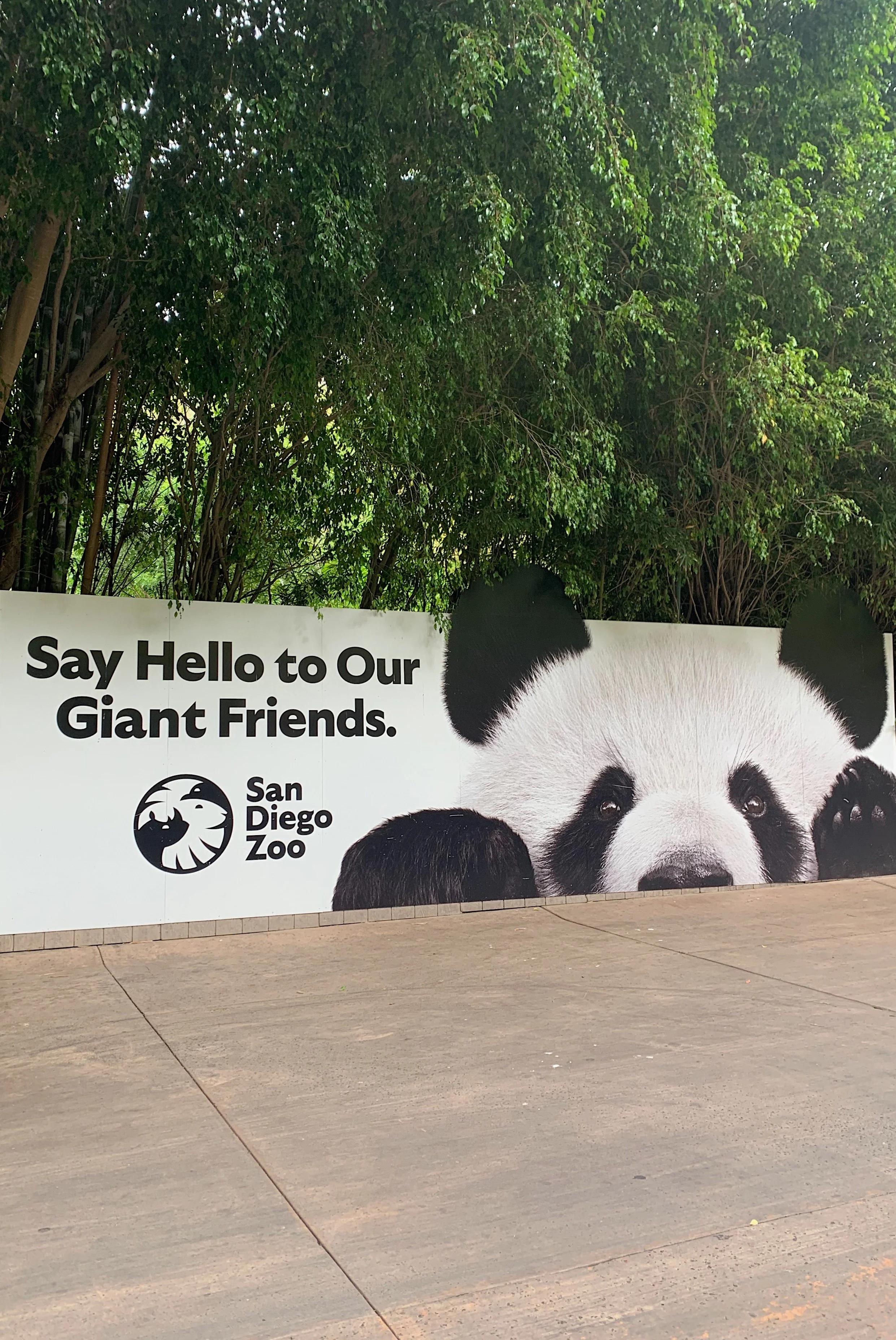 san-diego-zoo-panda-tour-review.jpg