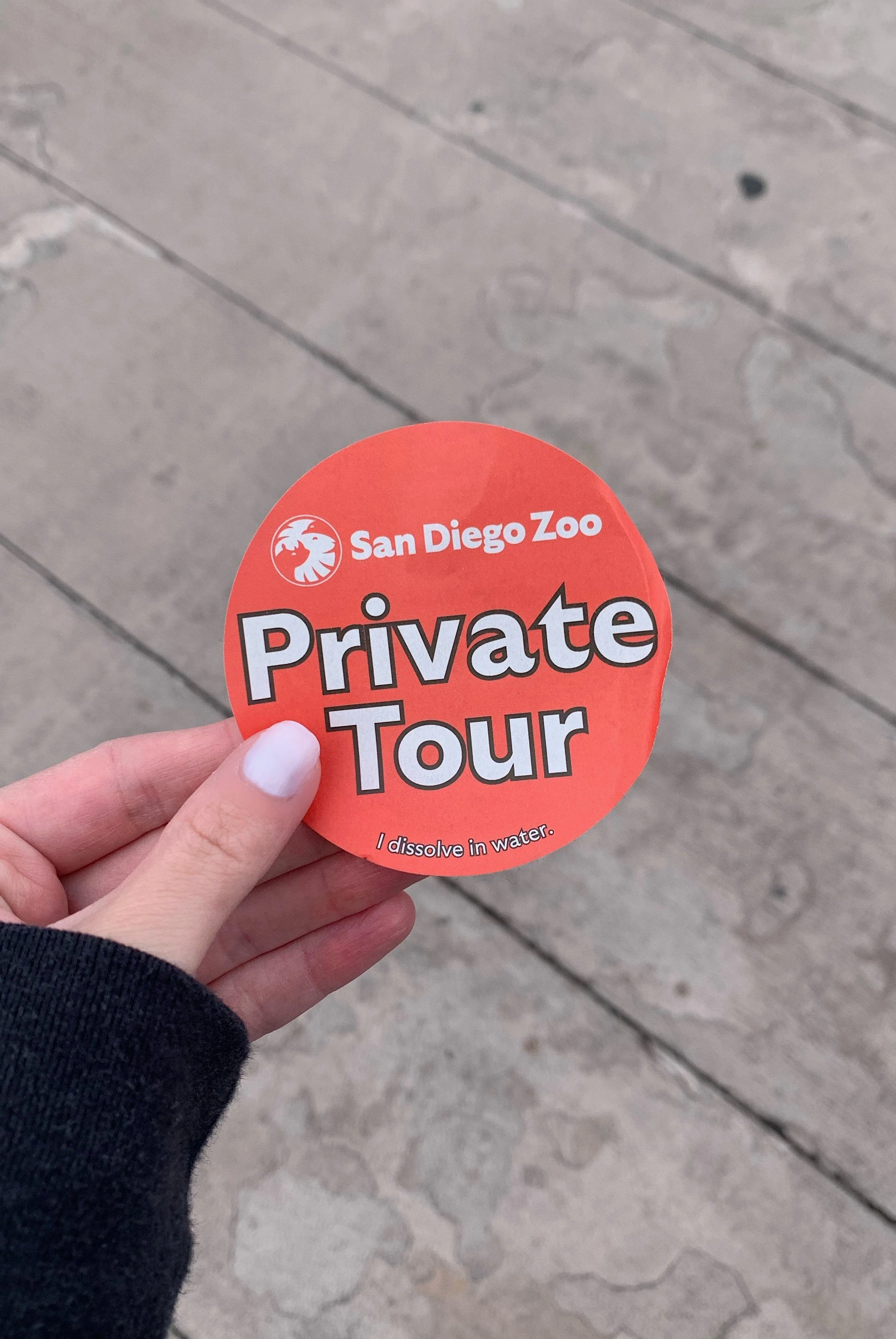 san-diego-zoo-eary-morning-with-pandas-walking-tour-worth-it.jpg