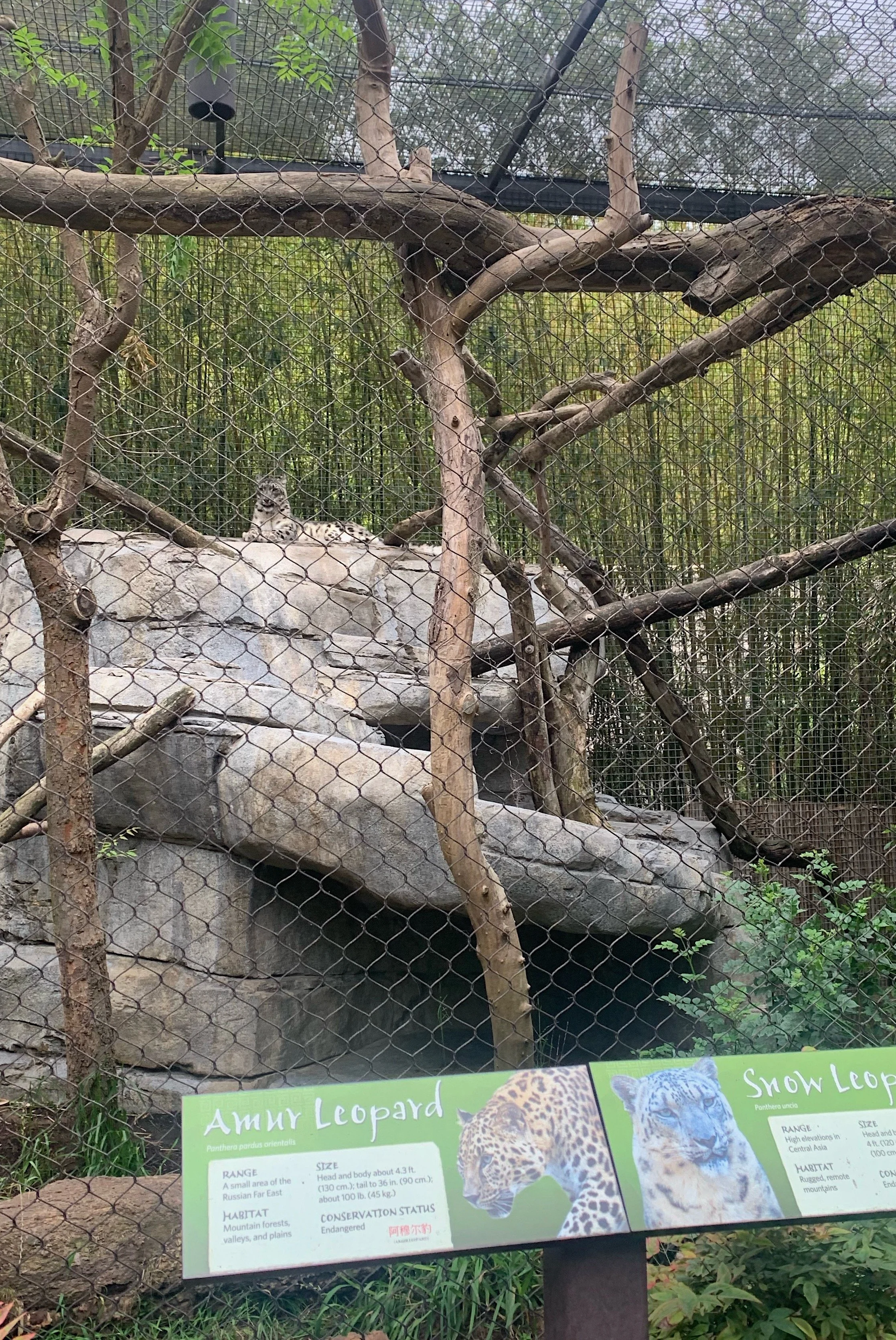 san-diego-zoo-inside-look-tour-reddit.jpg