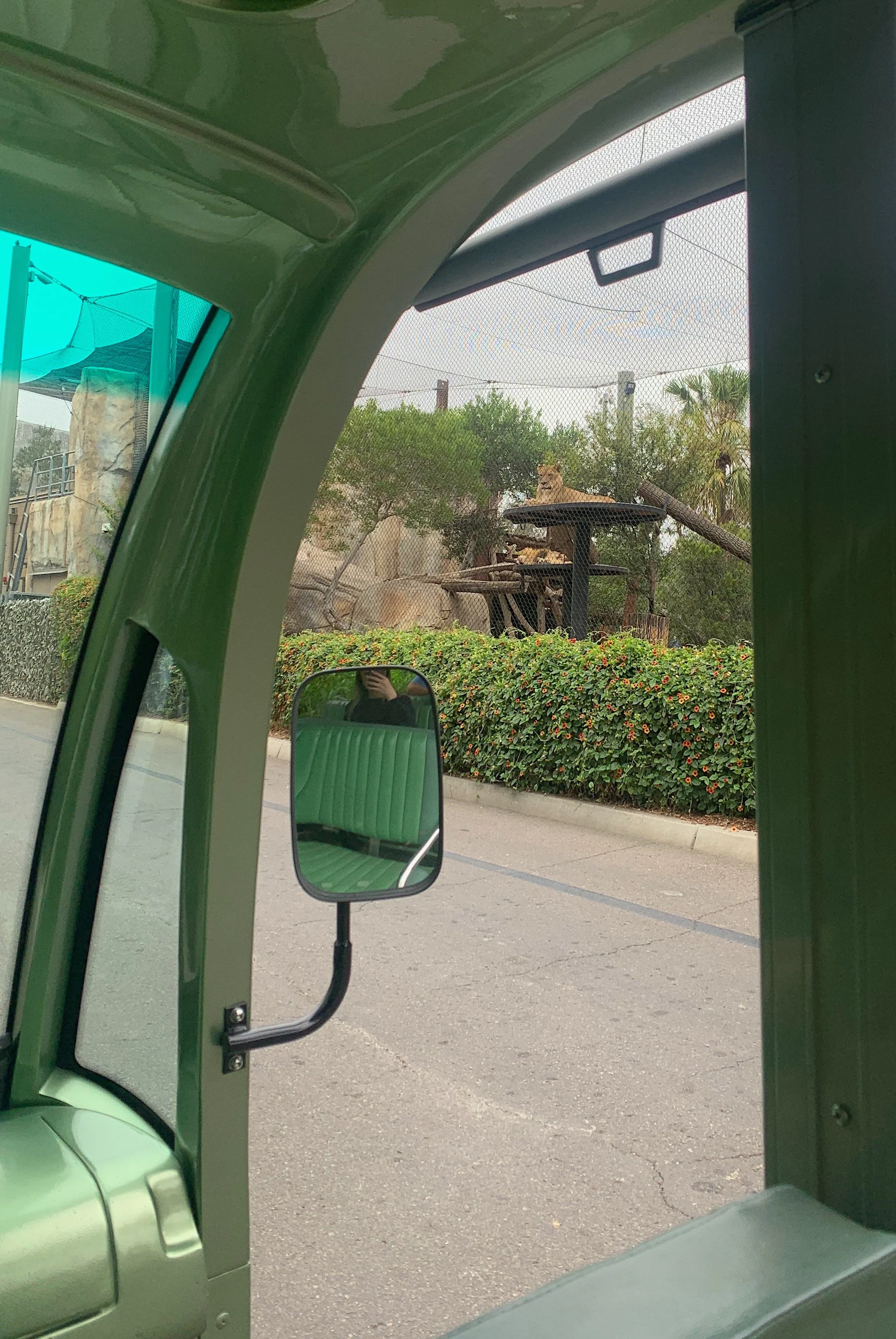 san-diego-zoo-inside-look-tour-worth-it.jpg