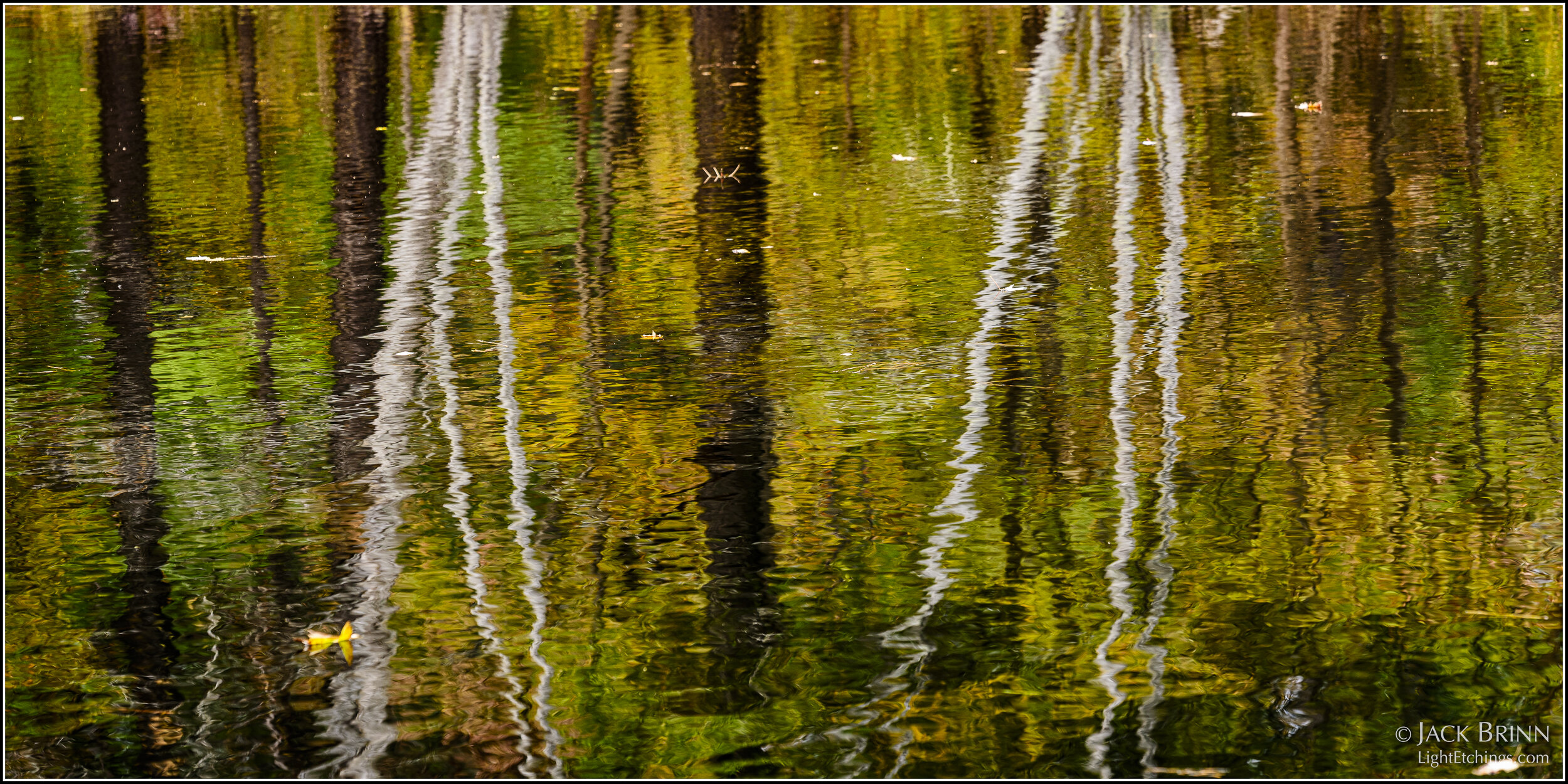 Cedar Creek Reflection