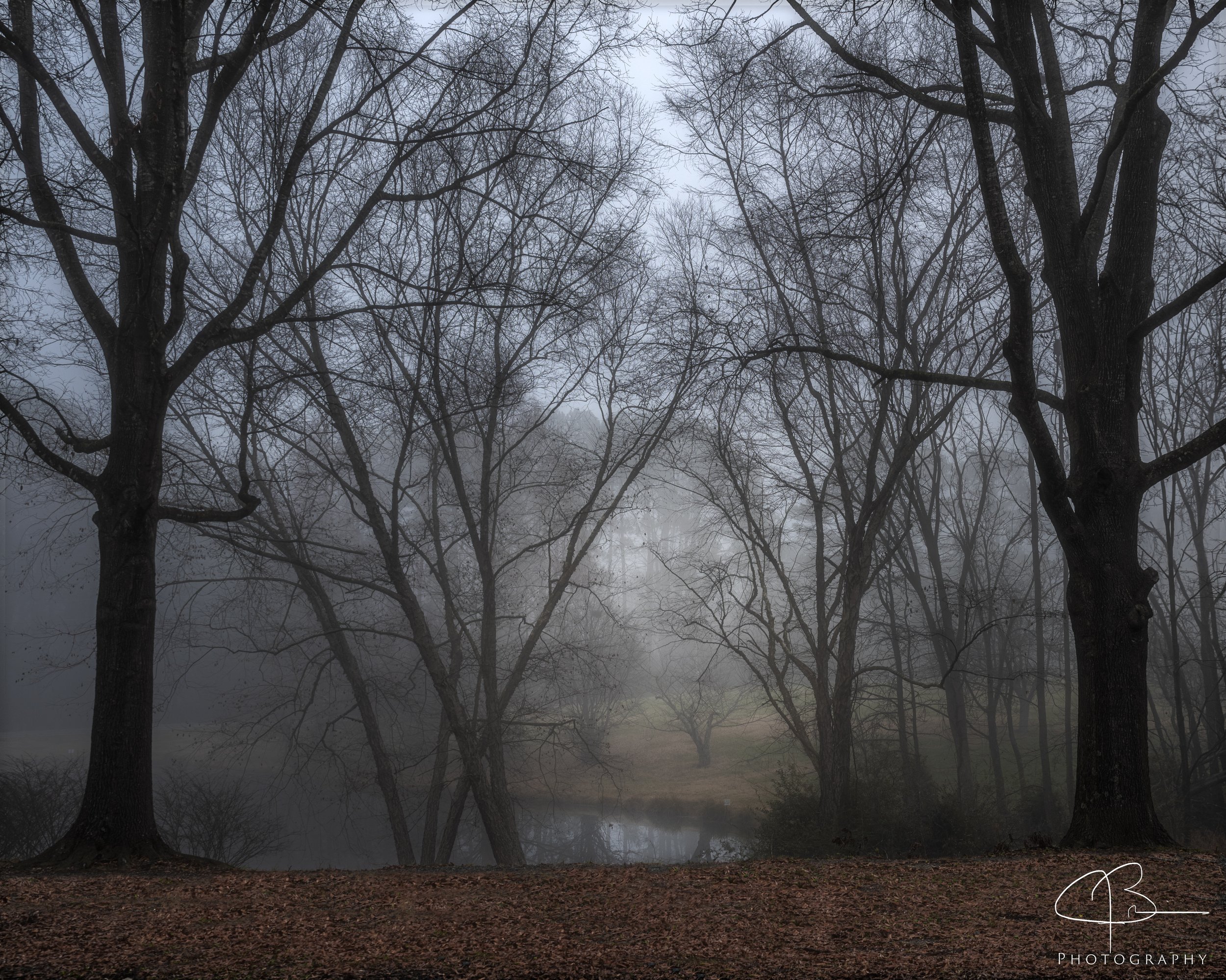 Foggy Morning, Village Pond