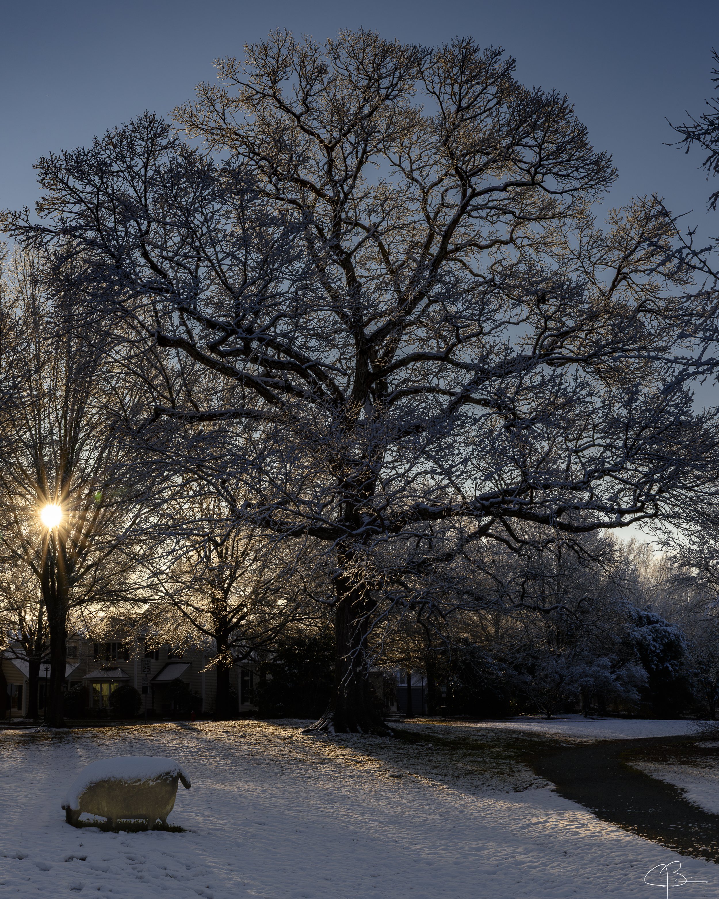 Snowscene.jpg