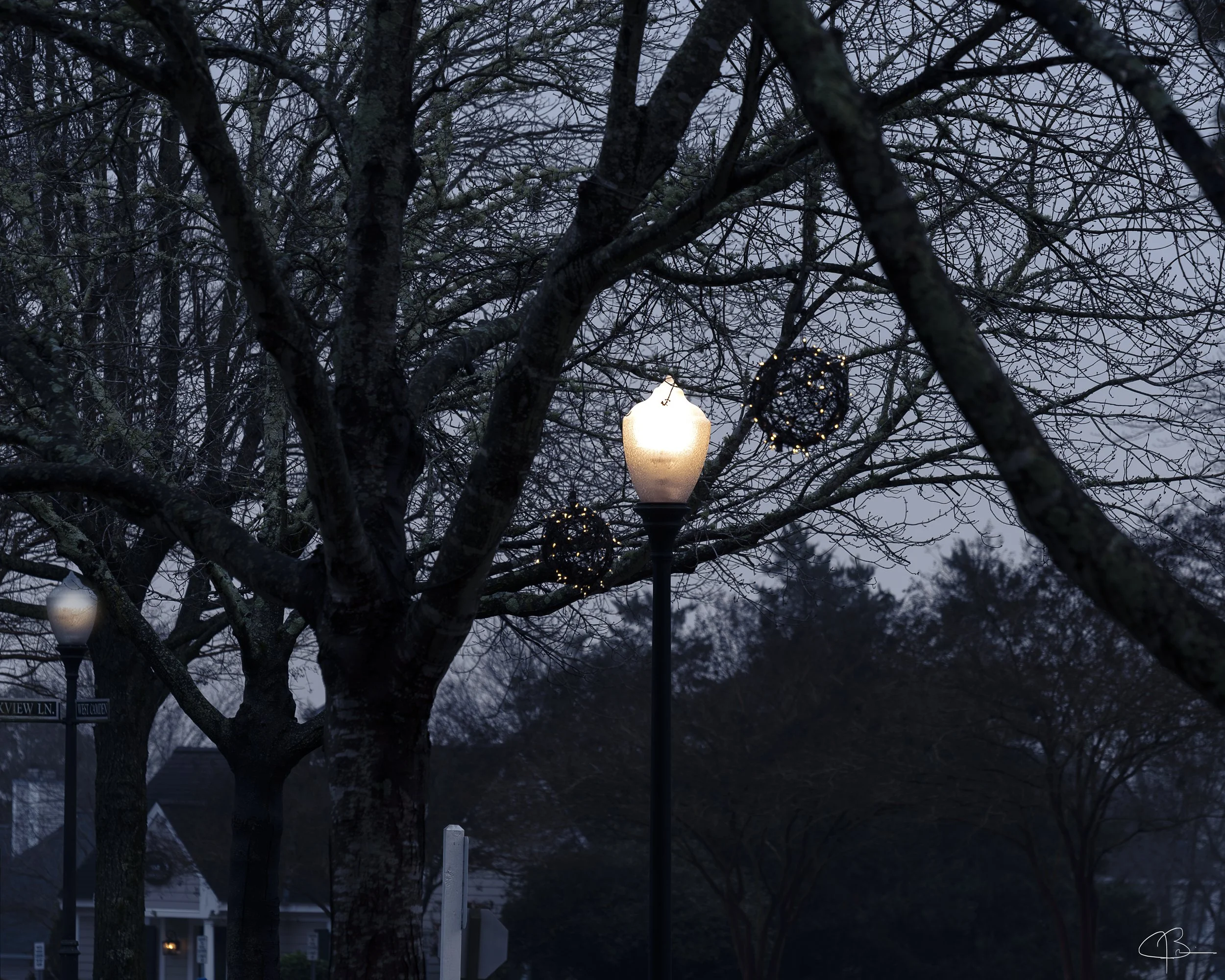 Lamps.jpg