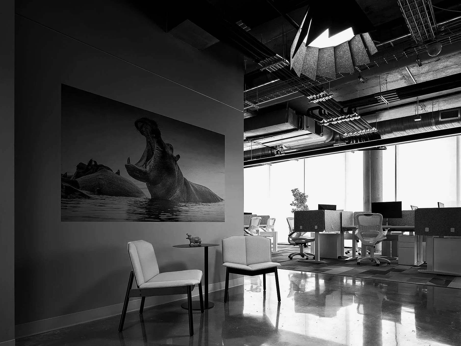 Hippo_ Elevator Entrance.jpg