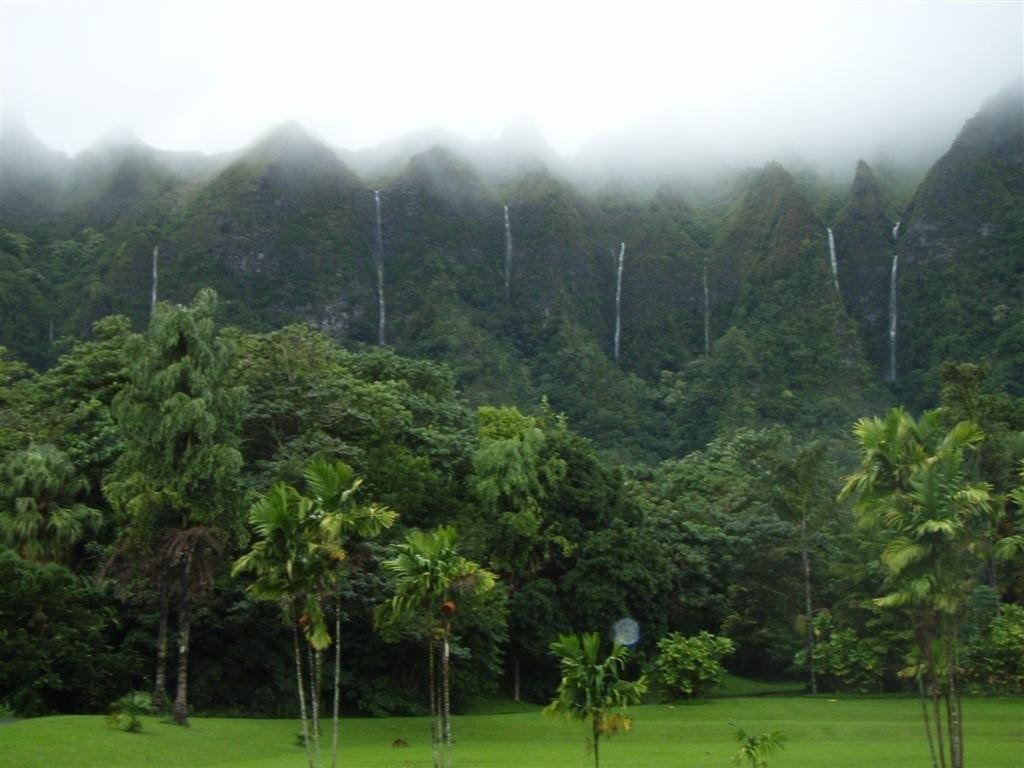 Hawaii cover photo 1.jpg