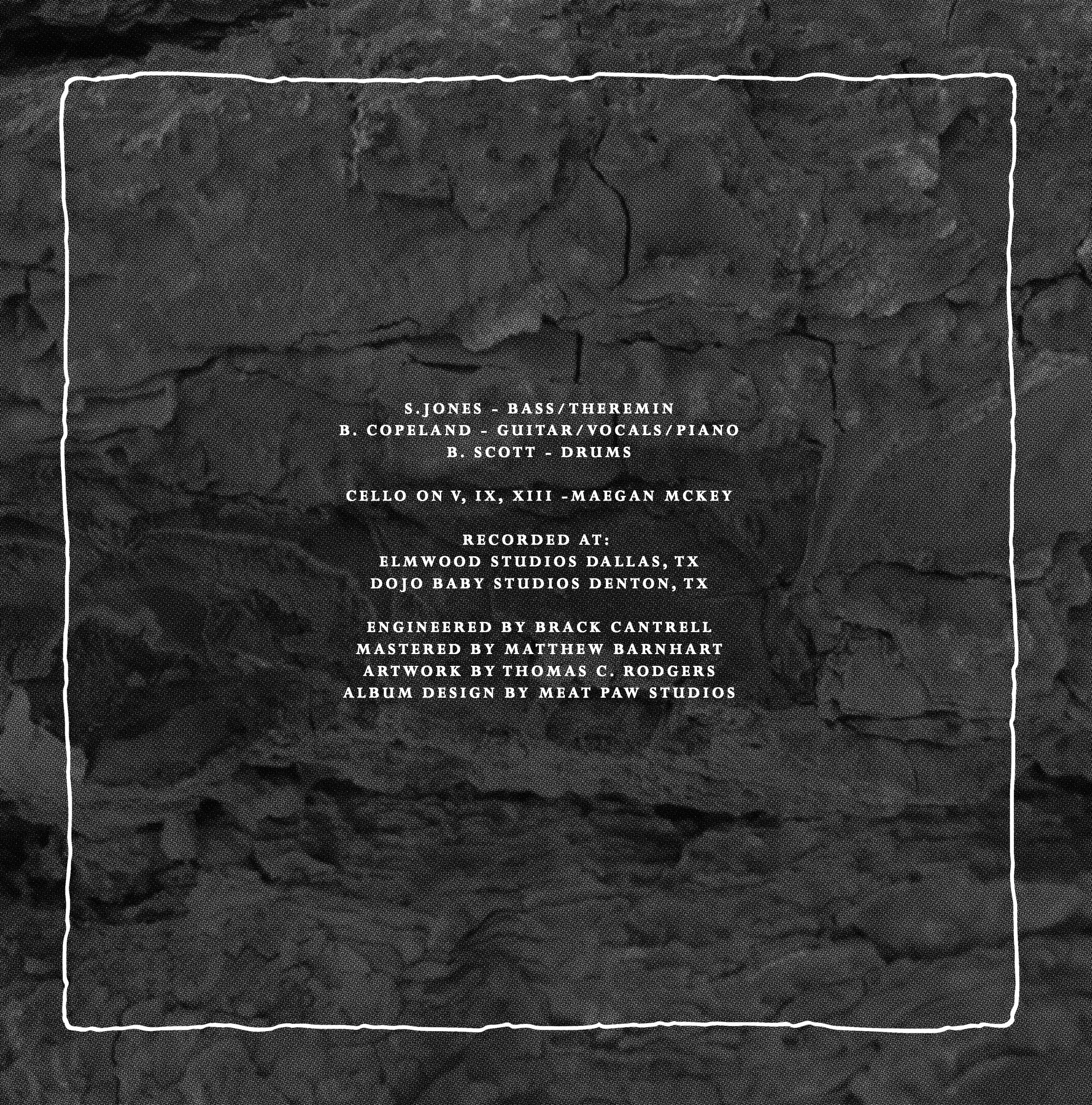 Strays_TDVD_Liner Notes Front.jpg