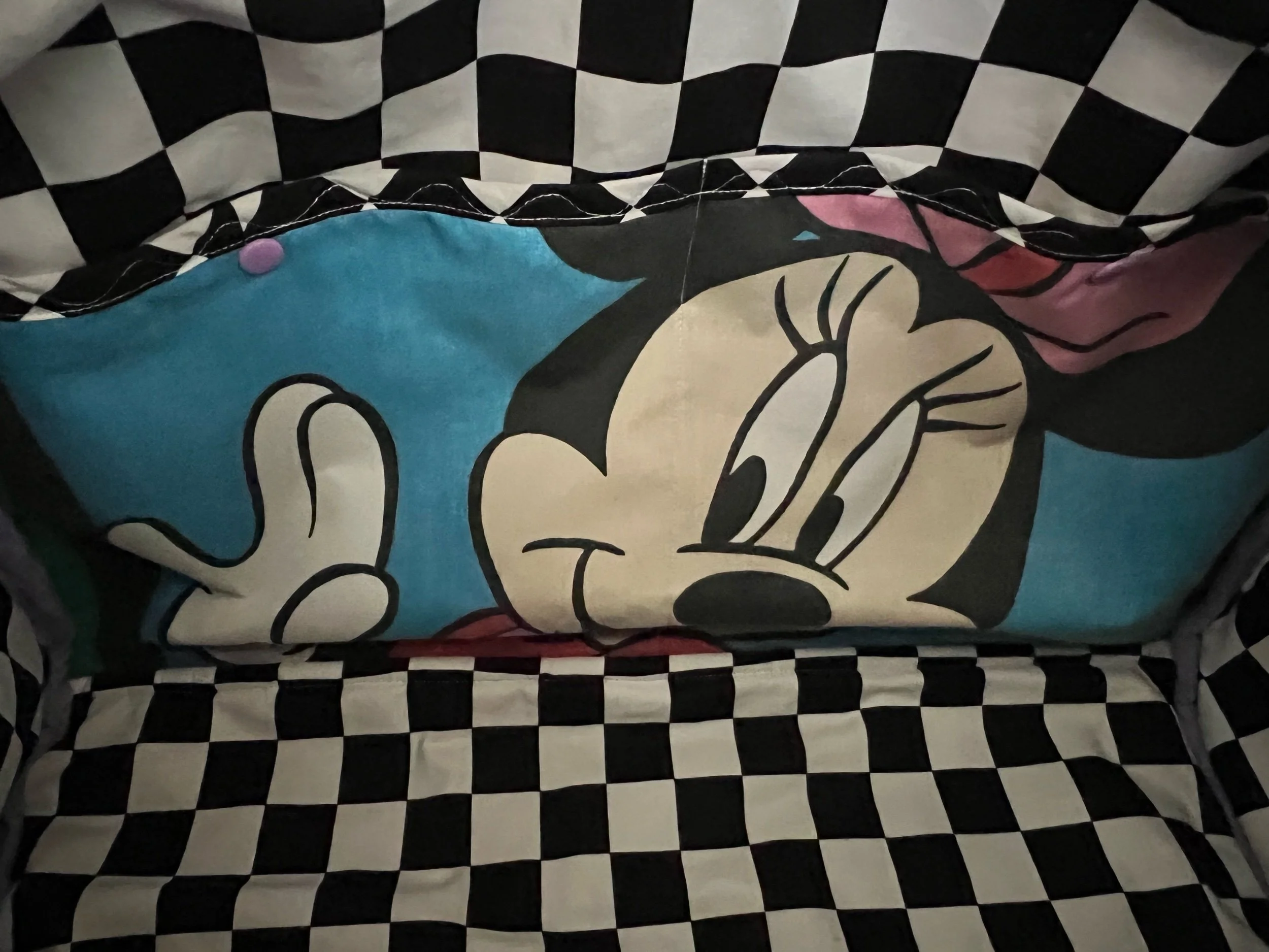 D52D4E2C-2F4E-4623-8012-FD8FFCEC1C7D.jpeg