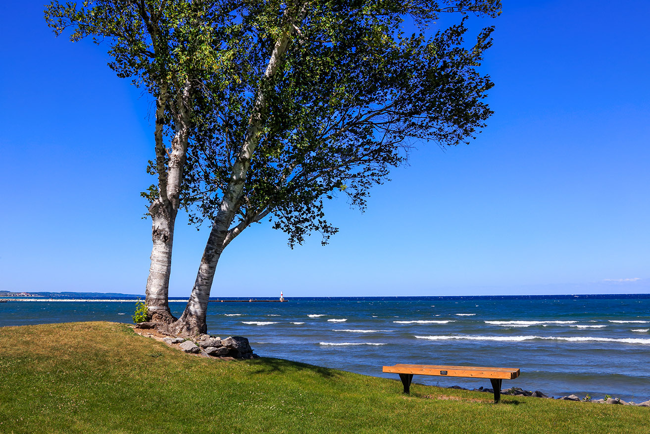 AdobeStock_119160634.jpeg