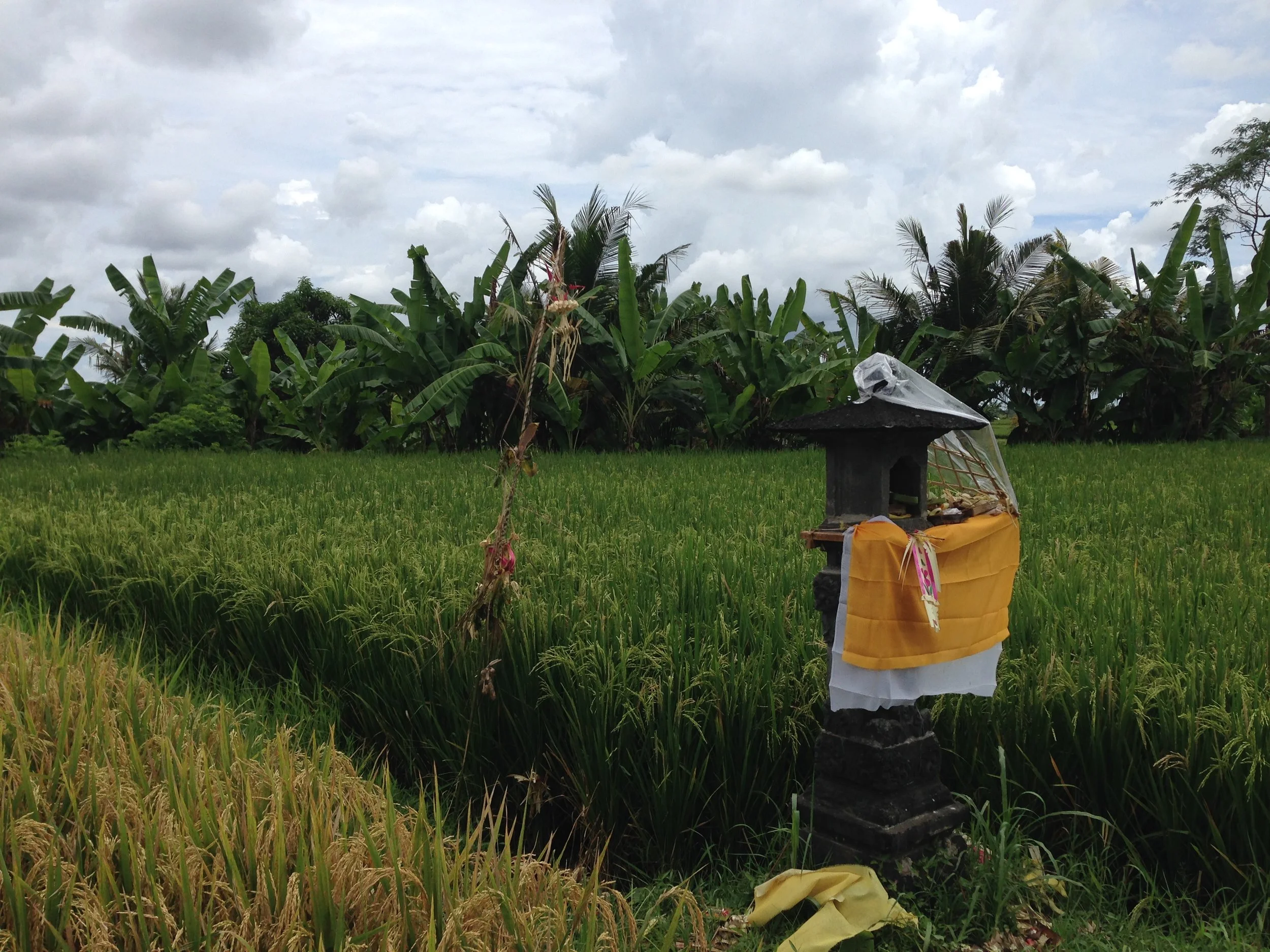 Ubud-38.jpg