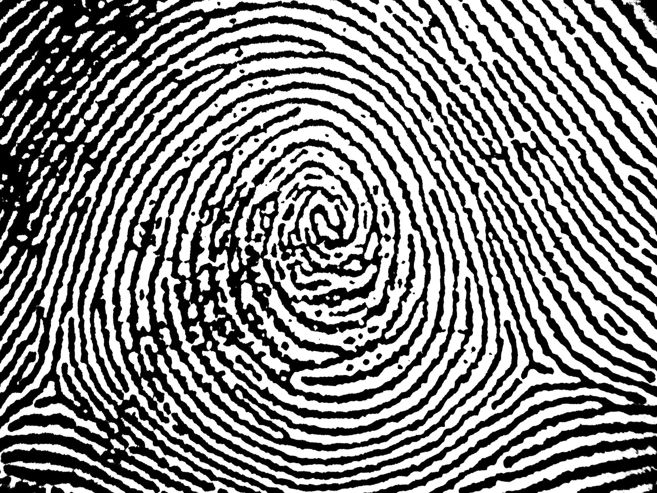 Plain_whorl_in_a_right_thumbprint.jpg