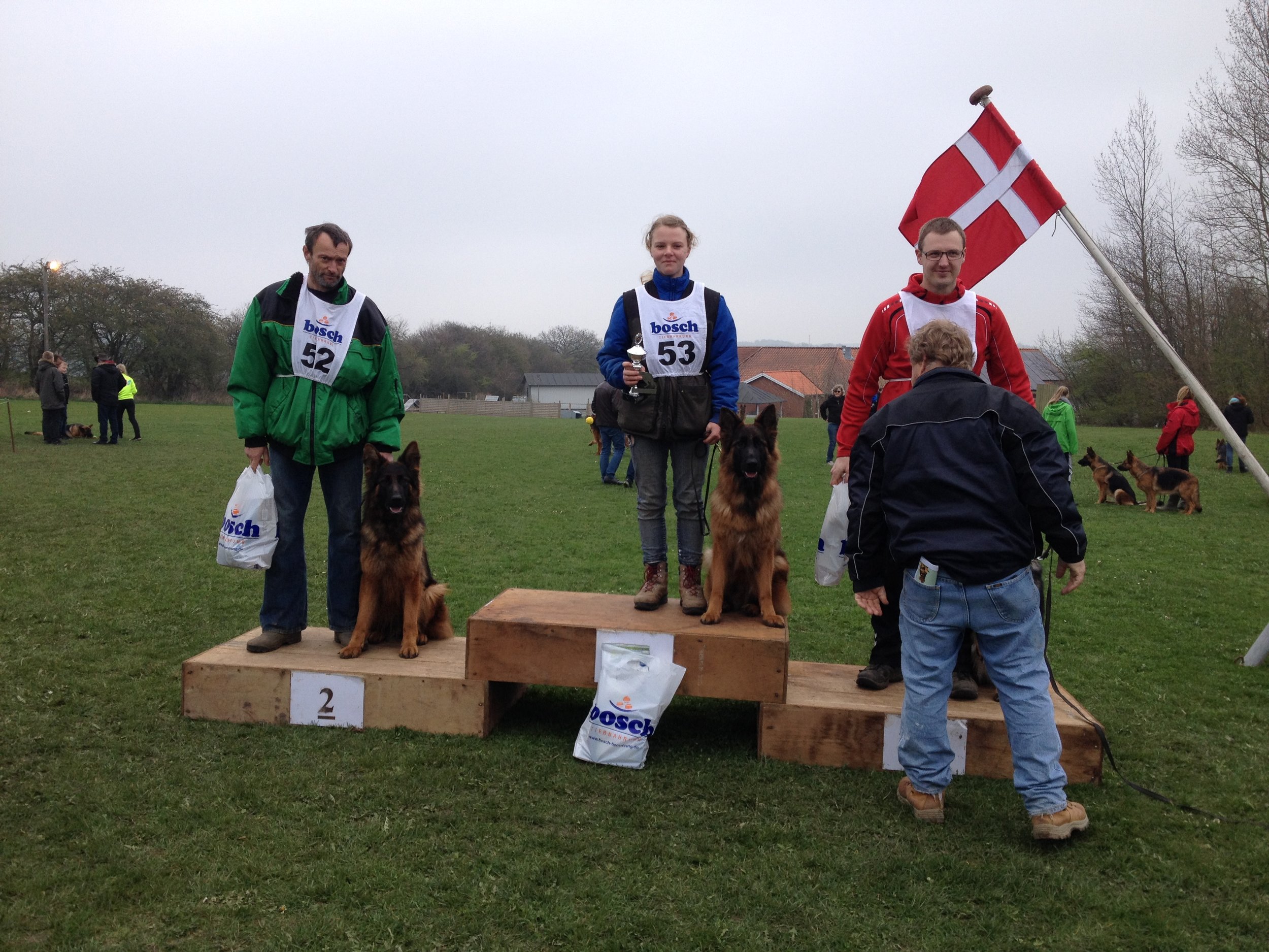 Længst til venstre 2 langstockhårede schæfertæver fra Kennel Roager