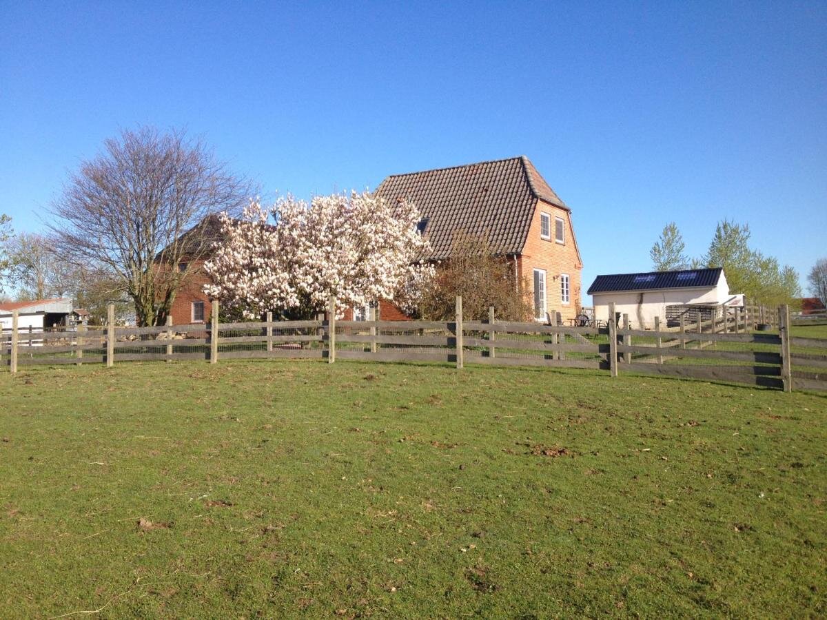 Bagfra huset mod terassen og magnolietræ i blomst.jpg