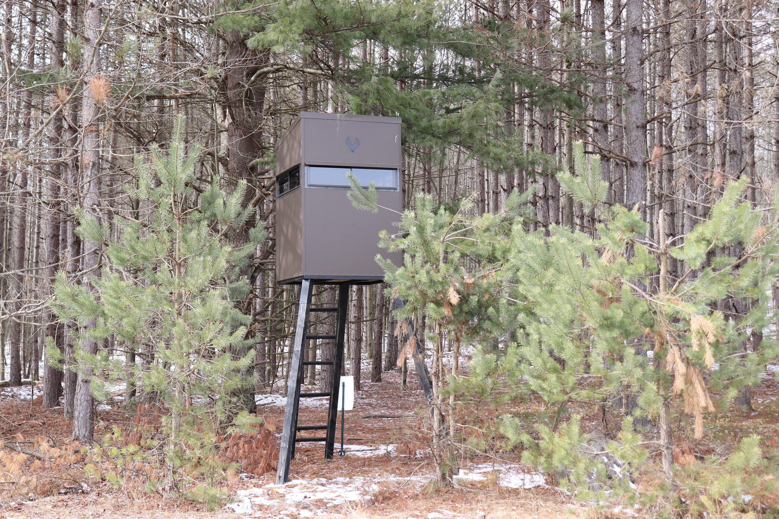 tree stand placement
