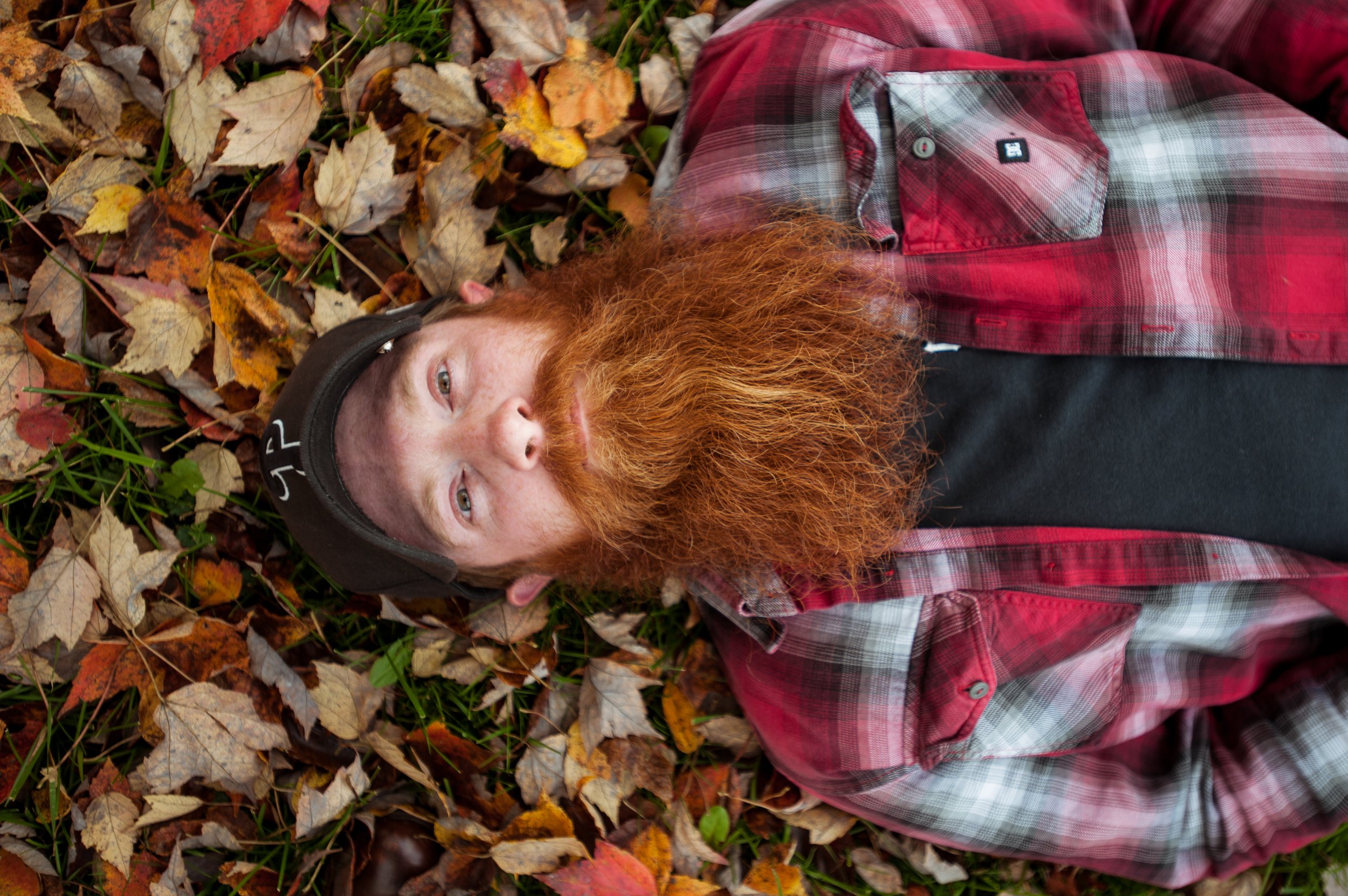 ph8903_beard.JPG