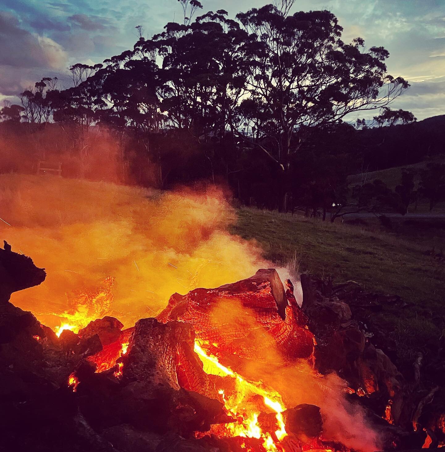 Bonfire season is back! This weekend we have been celebrating the end of harvest and the completion of the concrete slab for our new winery. There&rsquo;s still a long way to go in our winery / cellar door development, but we think it&rsquo;s very im