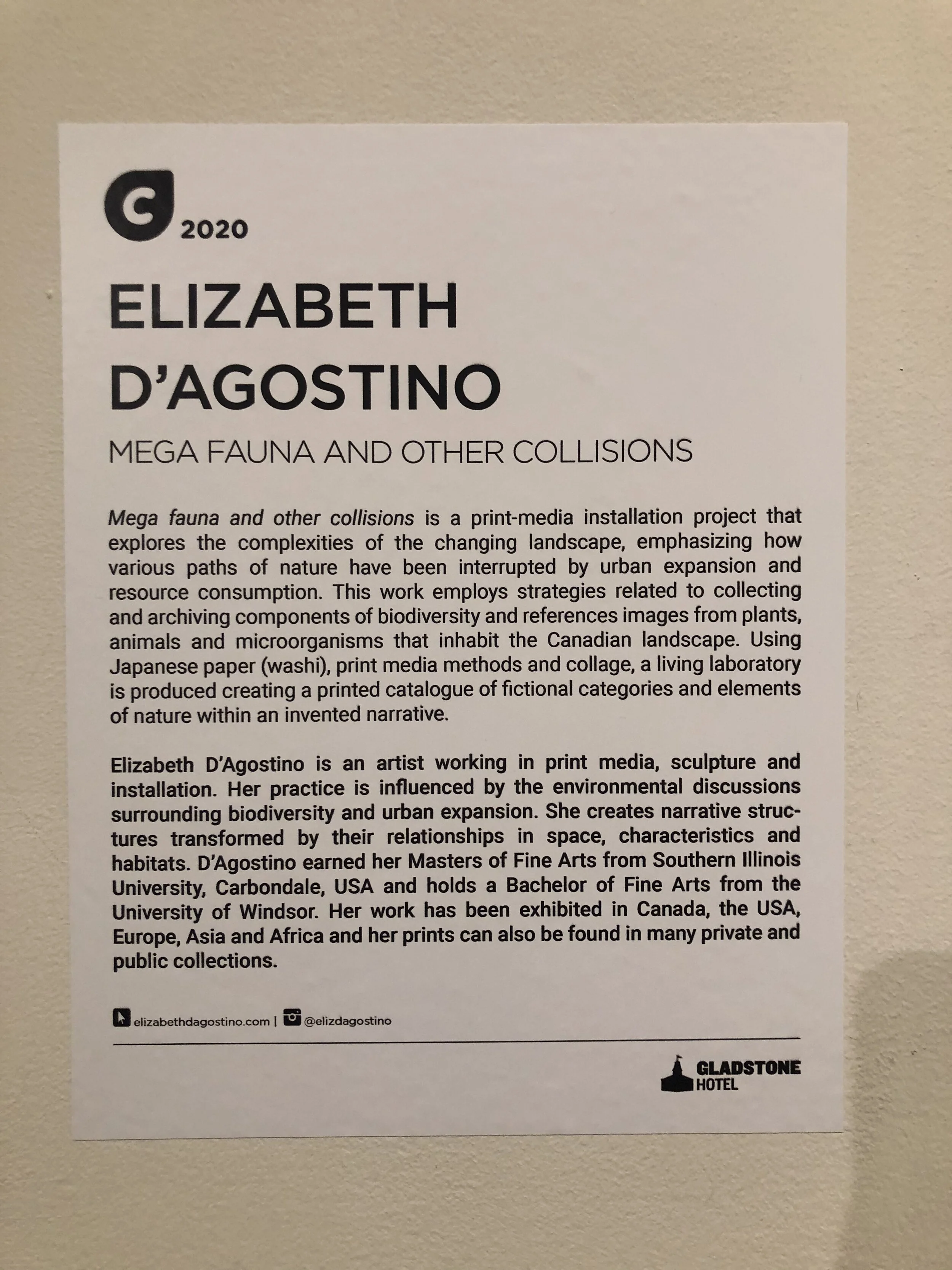 News — Elizabeth D’Agostino
