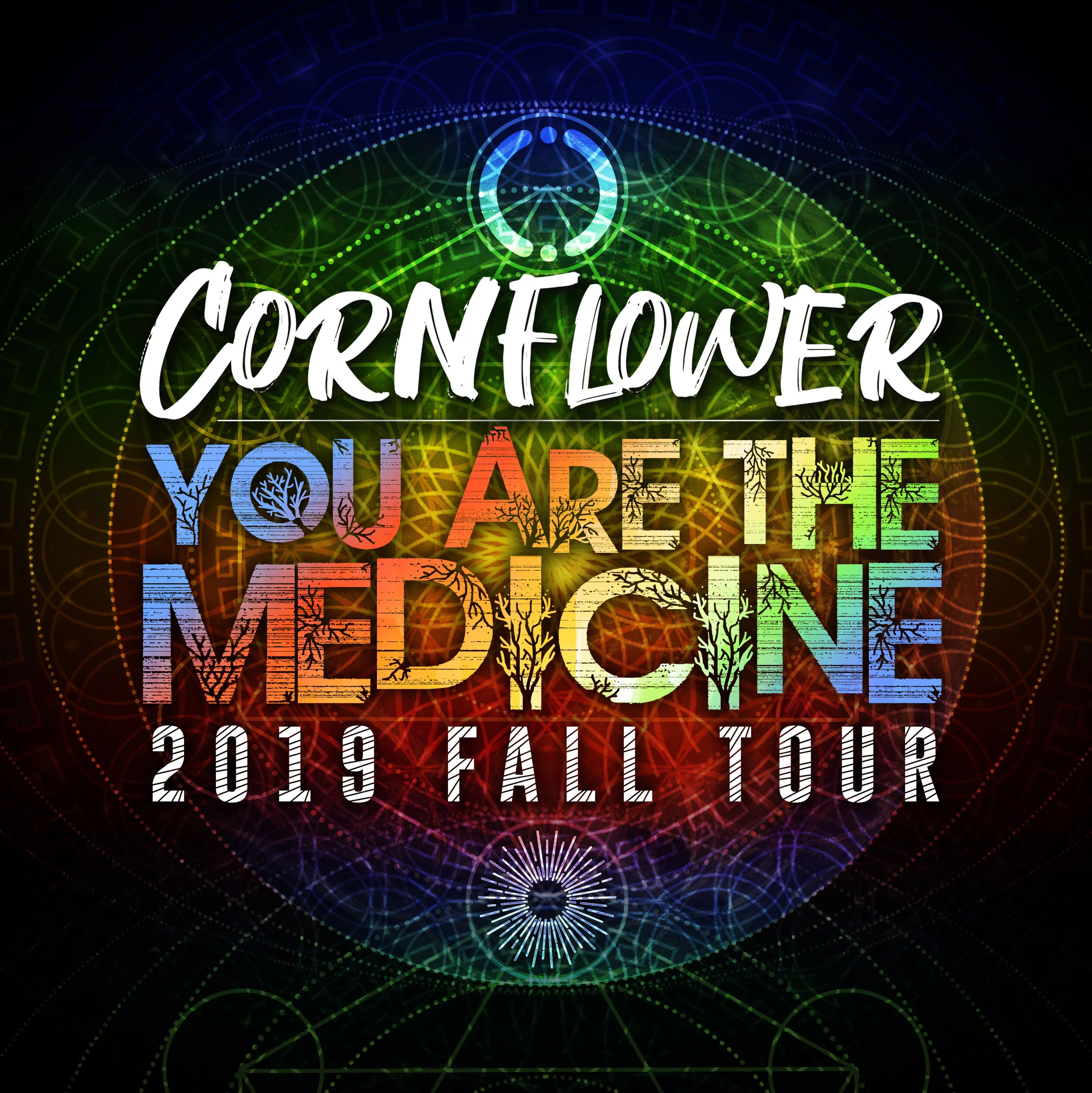 Announcing the “You Are The Medicine” 2019 US Fall Tour!