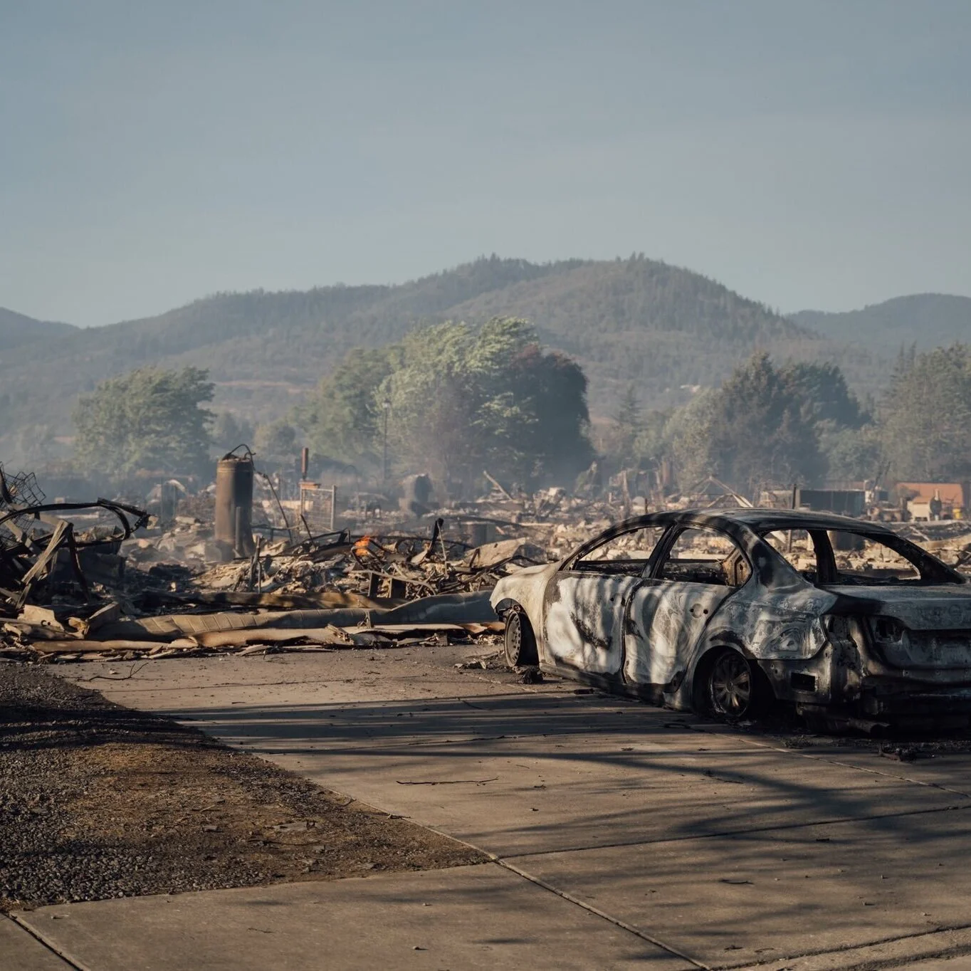 RISING FROM THE ASHES