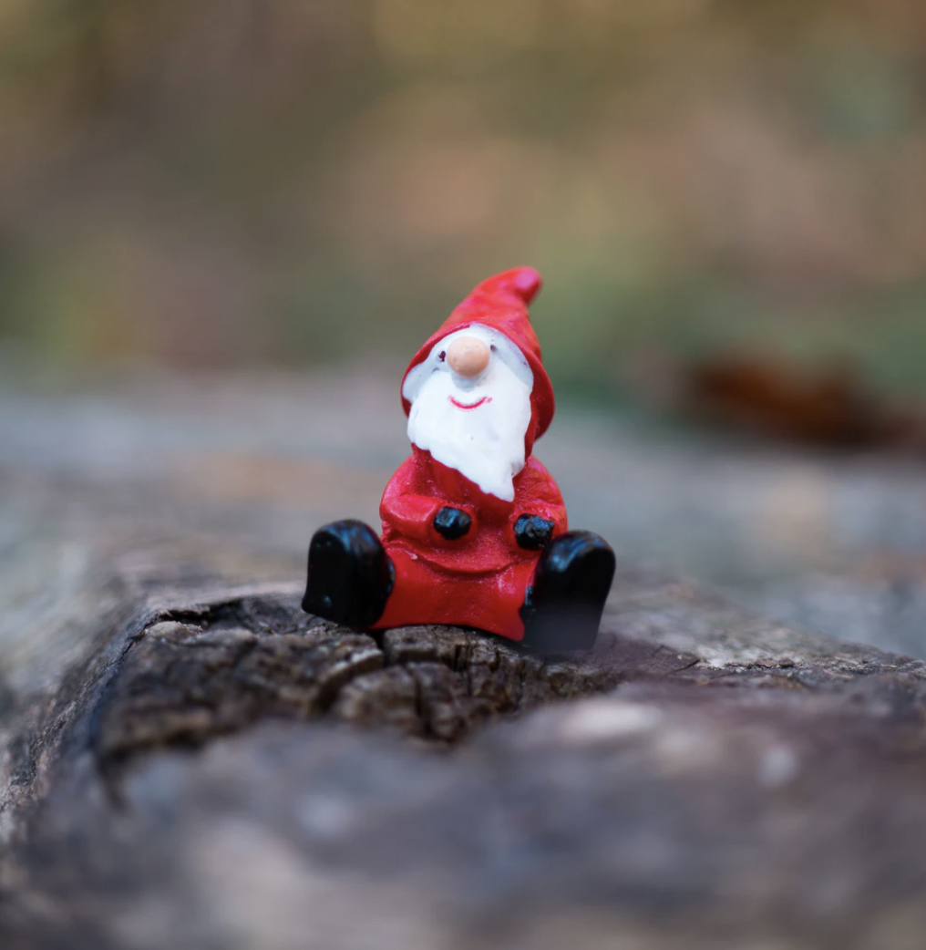 Its Christmas again….WTF!