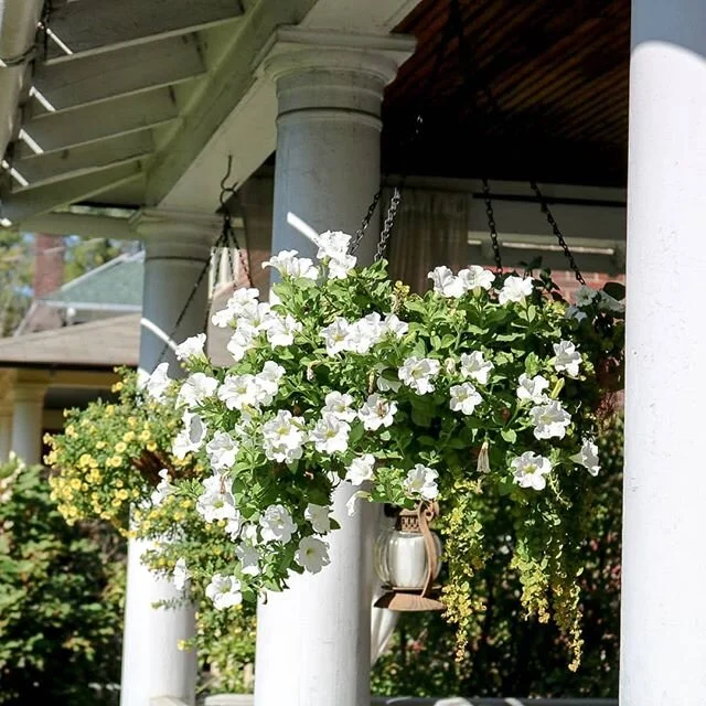 It's a beautiful day in the neighborhood. Today, we're laying sod in our backyard.We've hardscaped &amp; today hubby is laying sod (in stories) I'm helping by providing snacks and Gatorade on demand🤭🤭 We ignored our backyard for years but COVID-19 