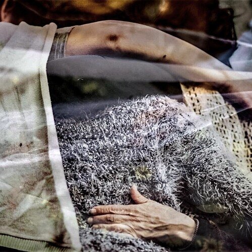 Gathering Three Frogs (audiodescription) by Bryan Phillips and Fayen d'Evie by 3ply