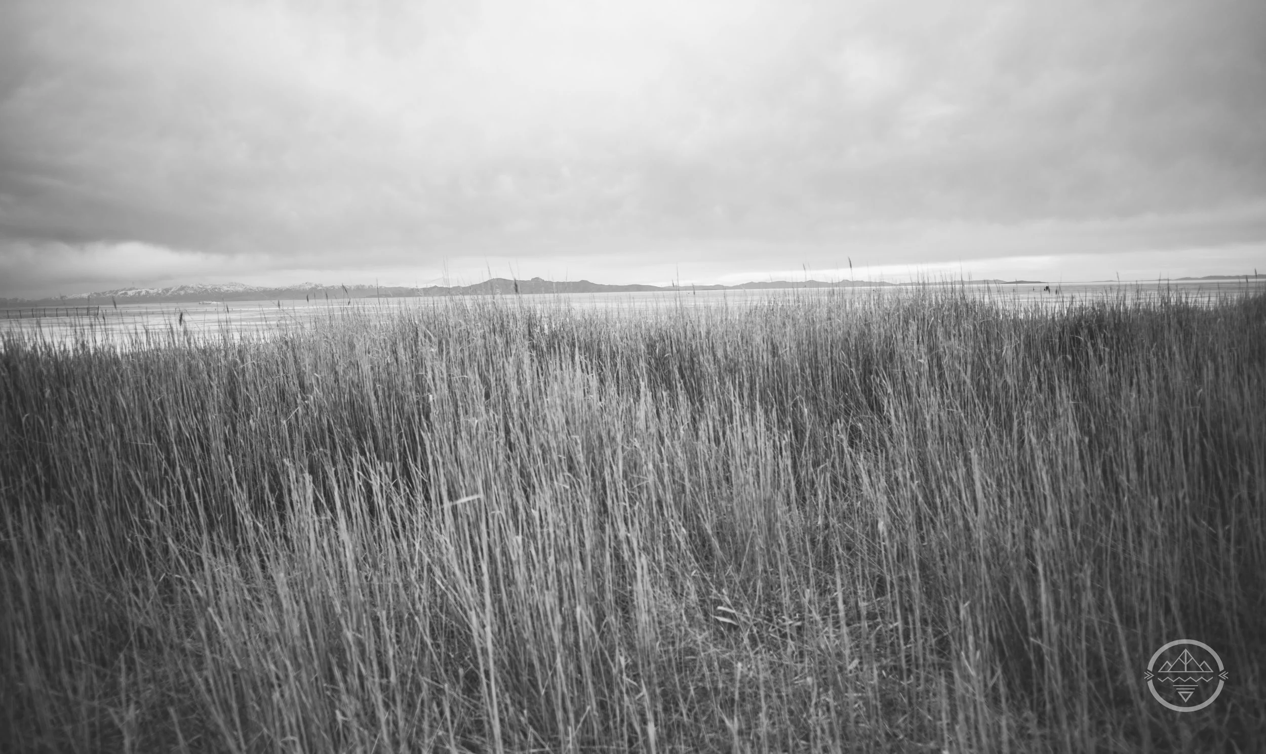 IMG_3519.jpeg