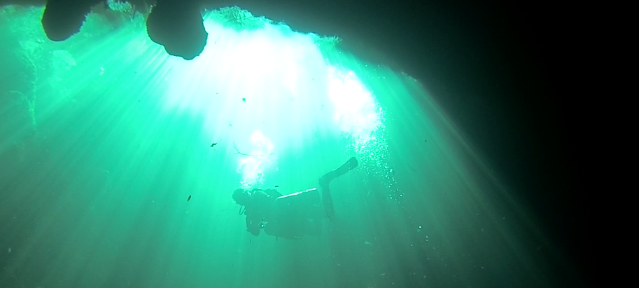 UNDER THE SURFACE AT SQUALLY POINT, OKANAGAN LAKE, BRITISH COLUMBIA